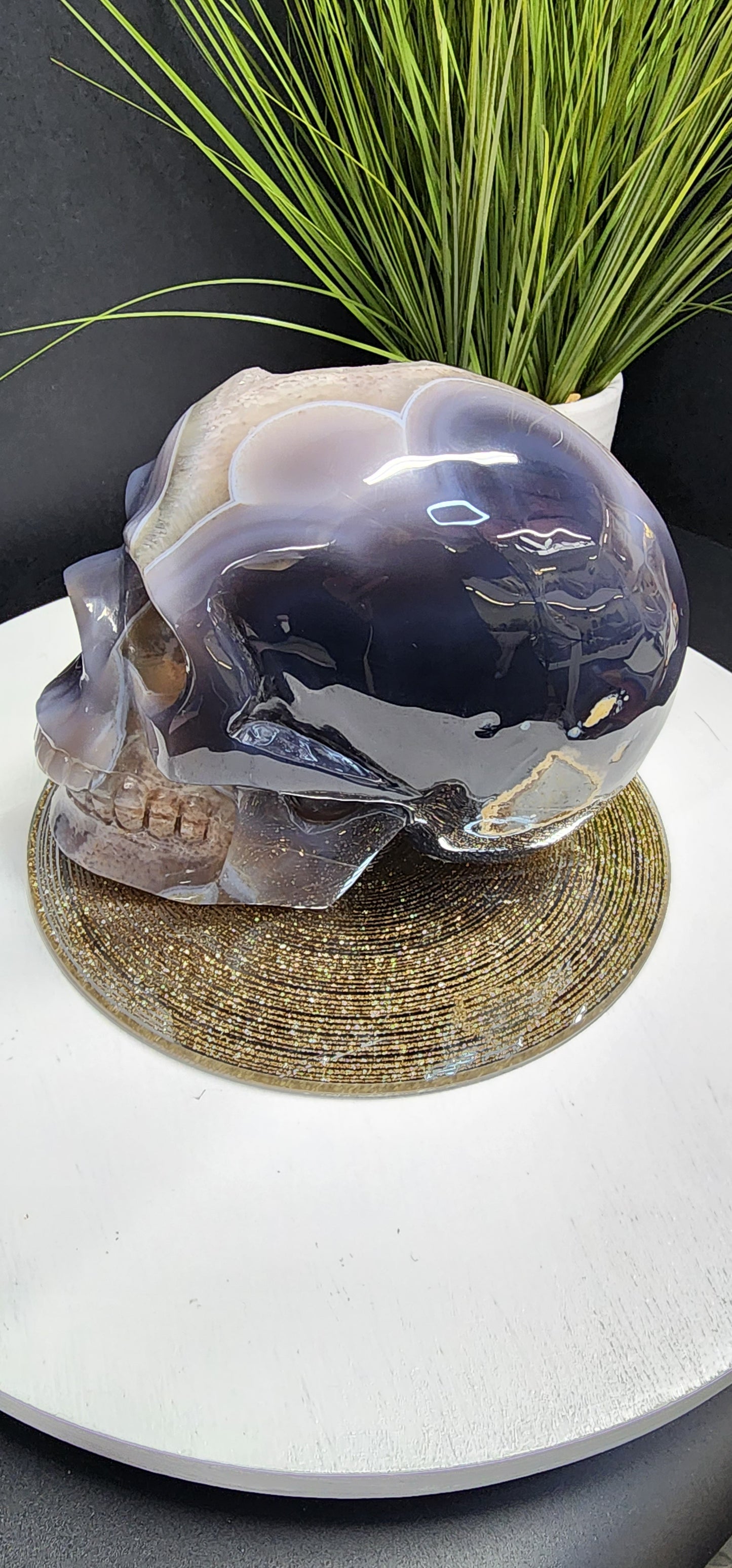 Extra Large Druzy Agate Skull with Smoky Citrine