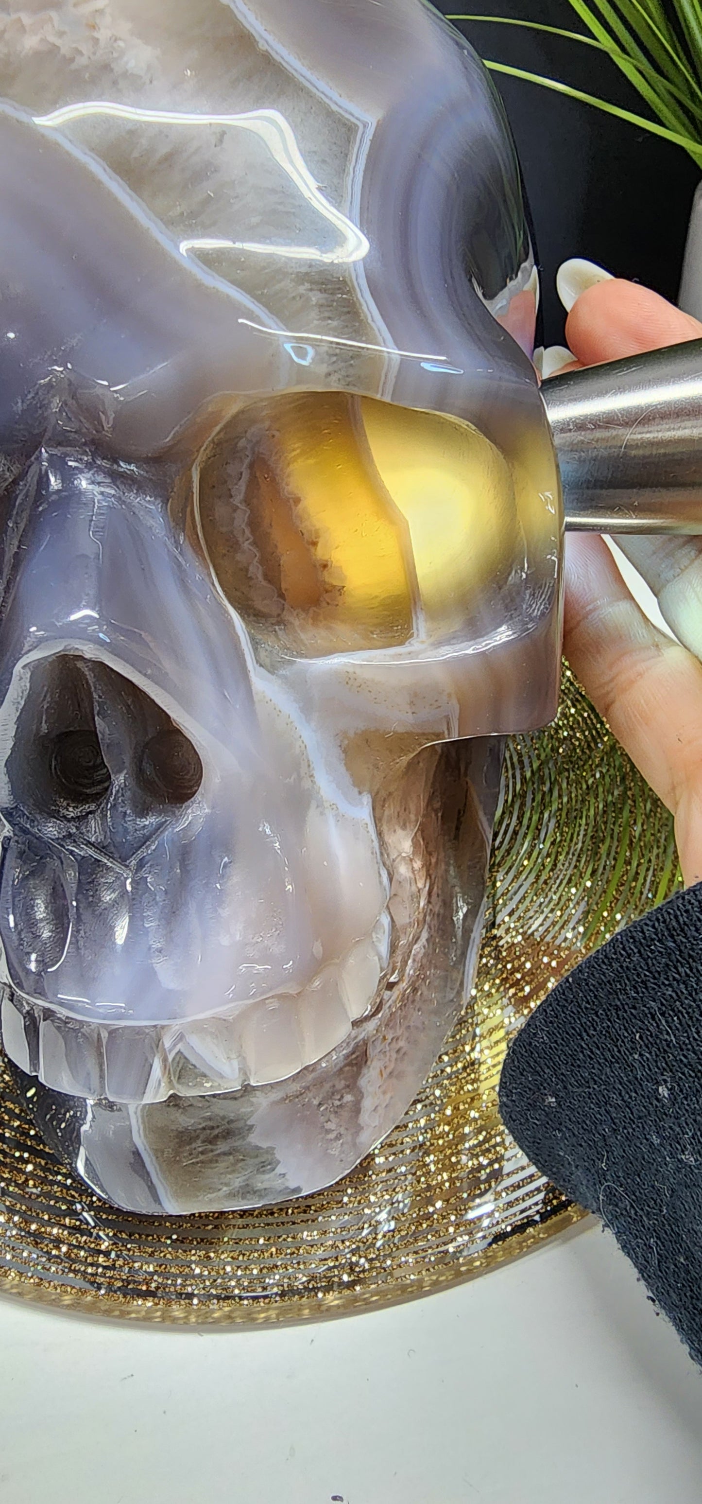 Extra Large Druzy Agate Skull with Smoky Citrine