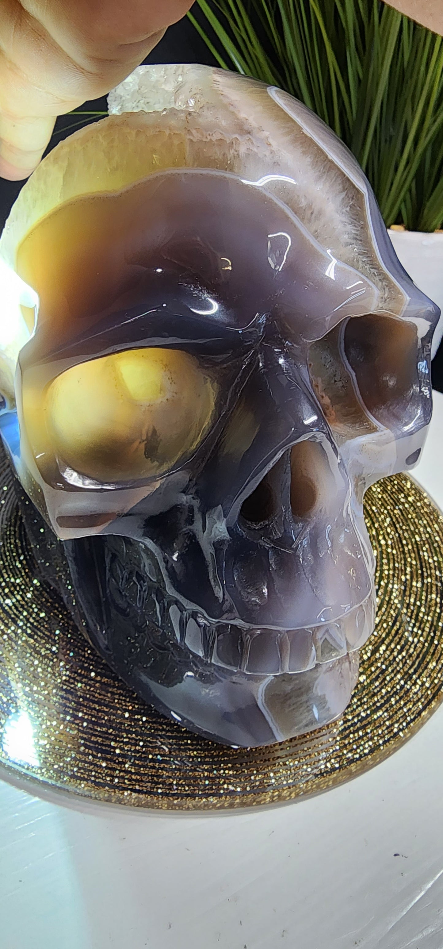 Extra Large Druzy Agate Skull with Smoky Citrine