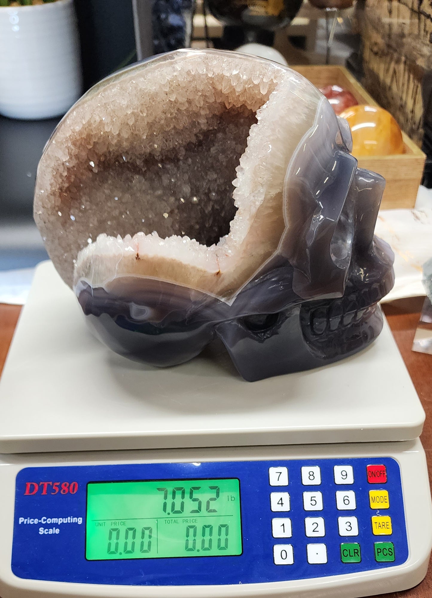 Extra Large Druzy Agate Skull with Smoky Citrine