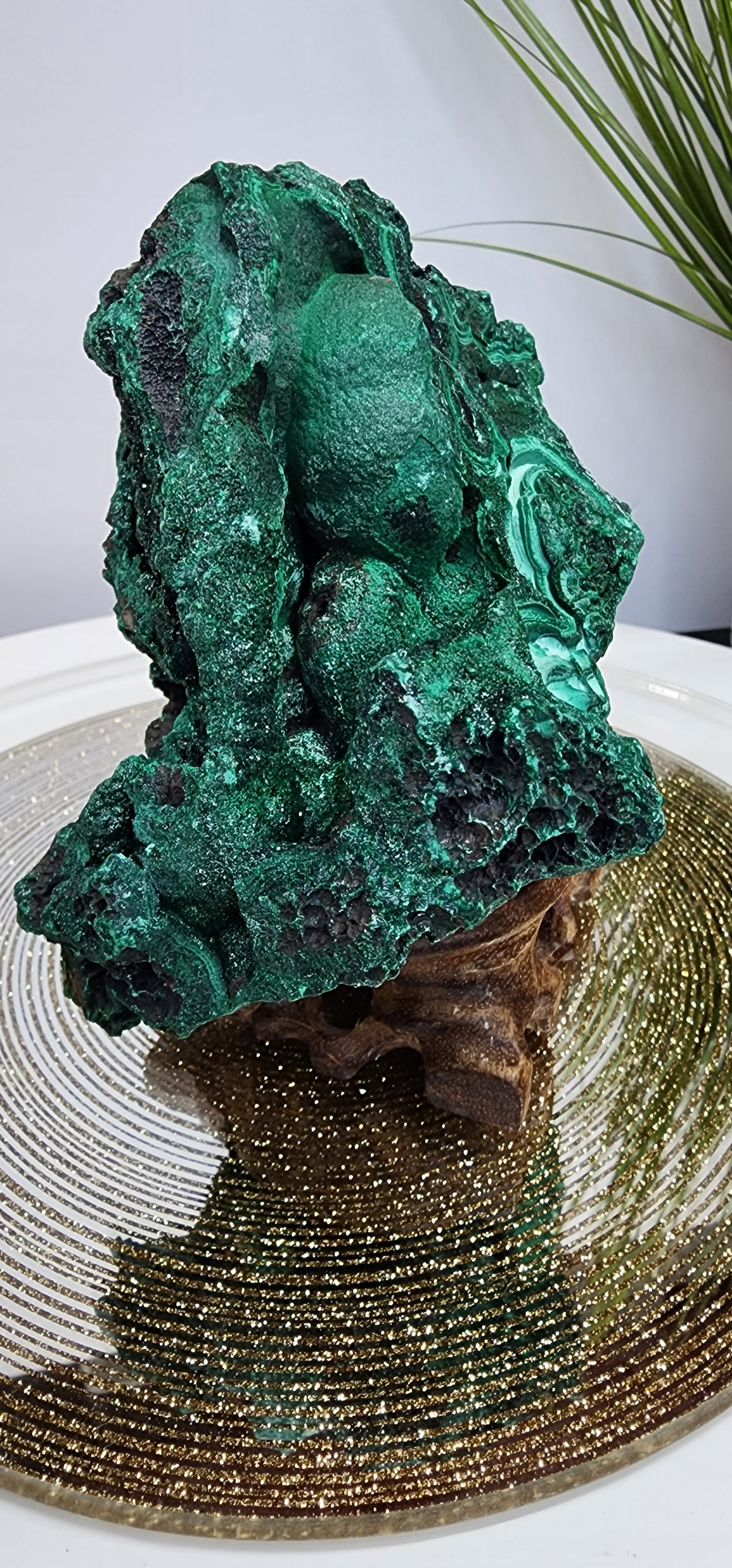 Druzy Malachite Specimen from Congo