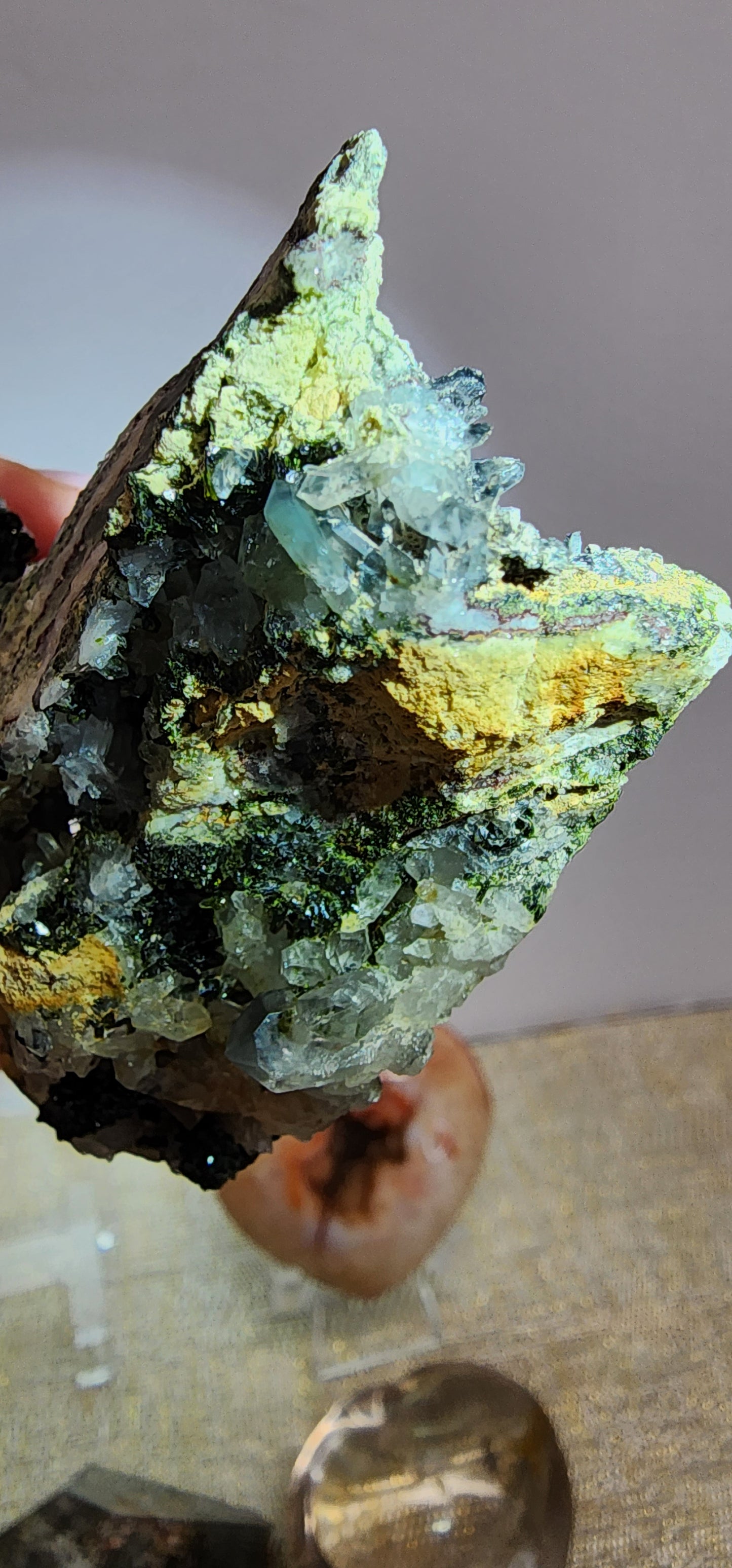 1 Basket Reserved for Amy