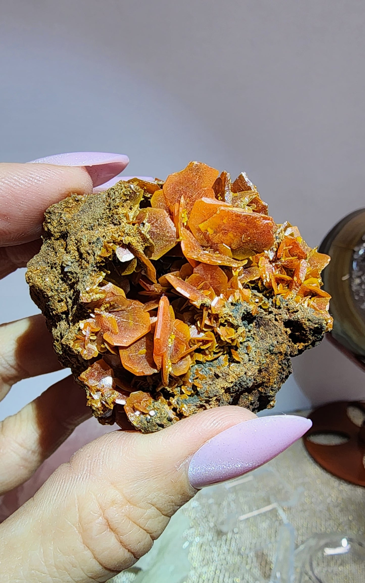 1 Basket Reserved for Heather