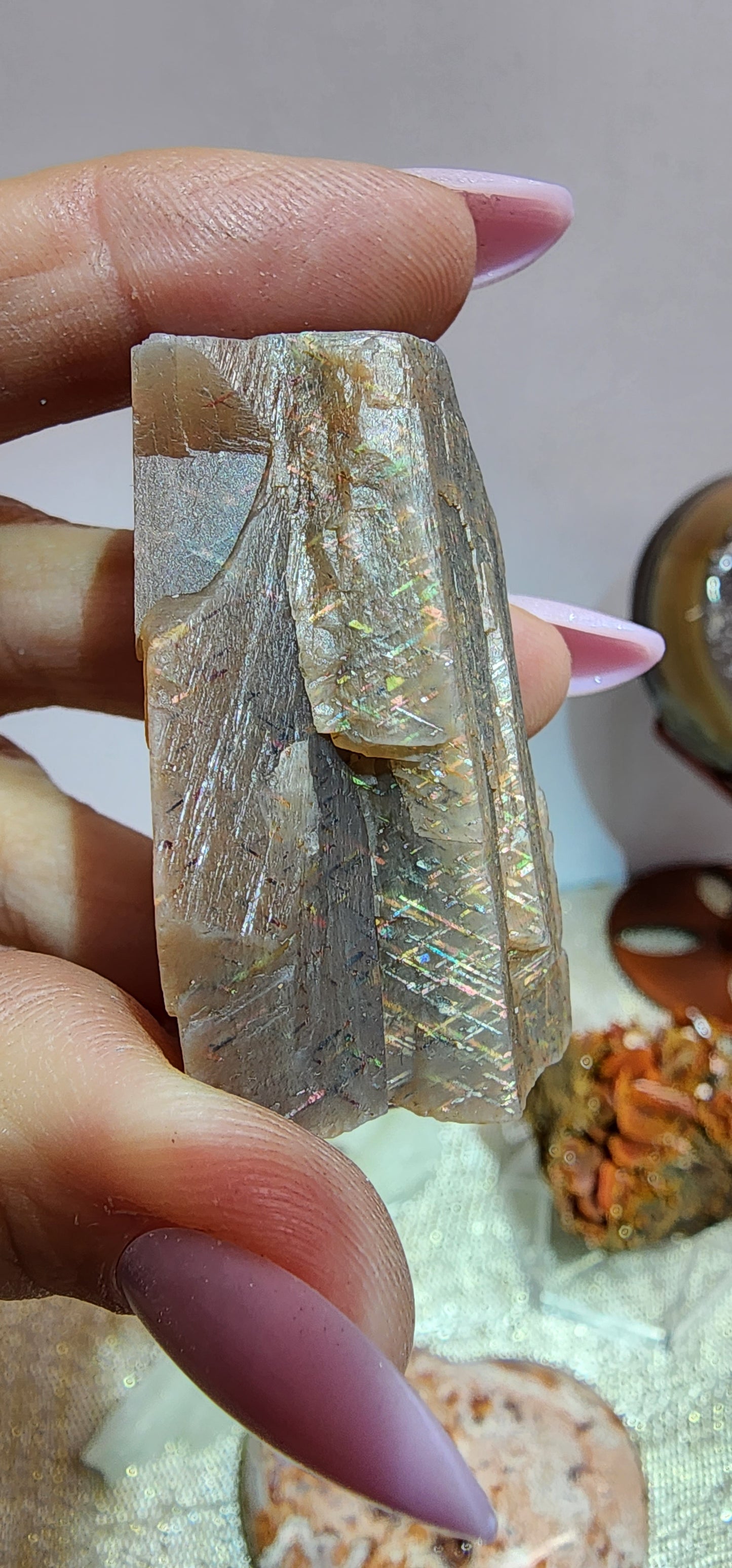 1 Basket Reserved for Heather ON HOLD