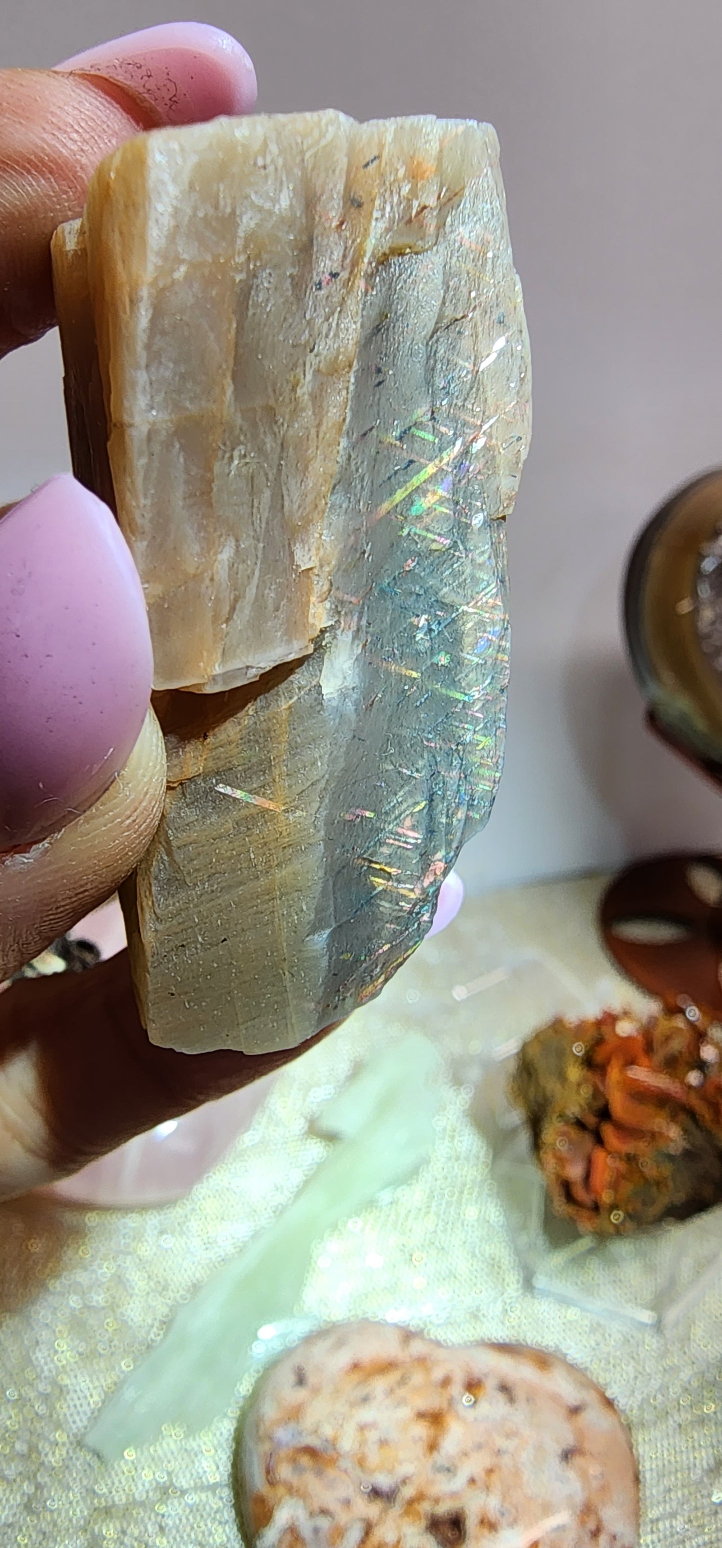 1 Basket Reserved for Heather ON HOLD