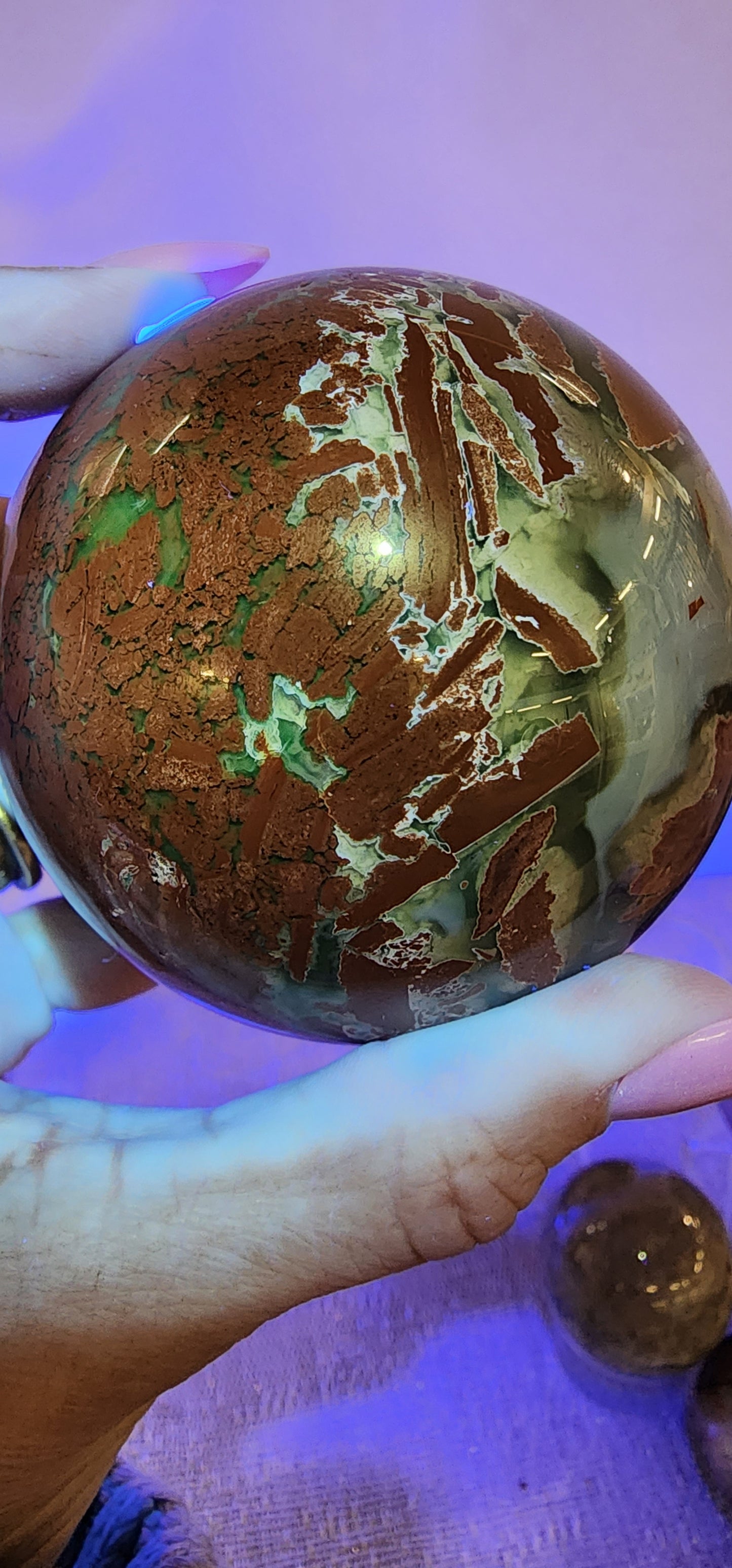 1 Basket Reserved for Renee ON HOLD #1