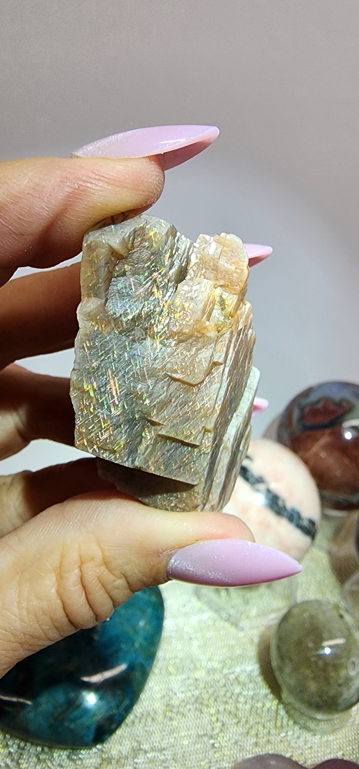 1 Basket Reserved for Renee ON HOLD #1