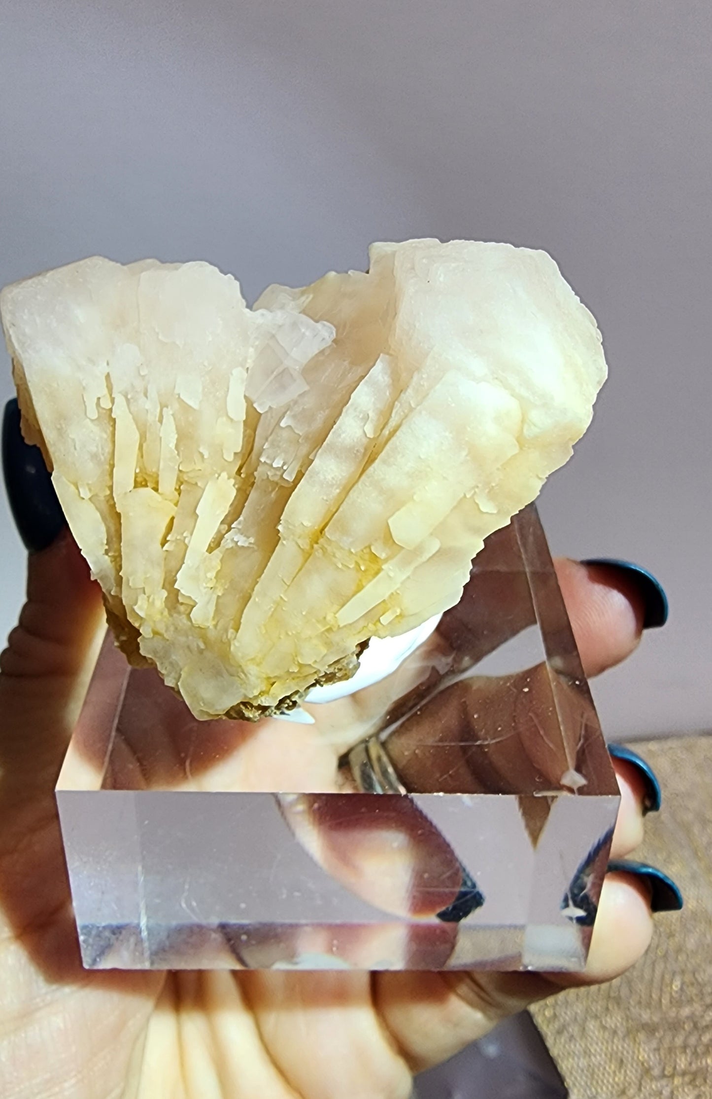 1 Basket Reserved for Deb