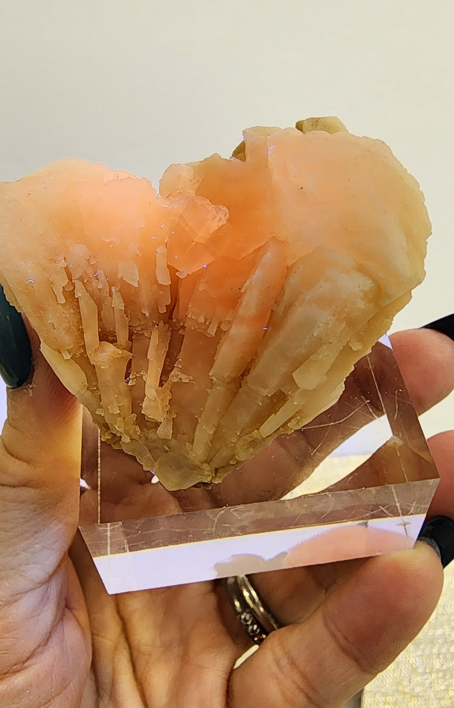 1 Basket Reserved for Deb