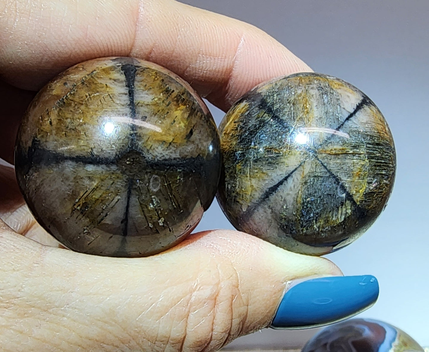 1 Basket Reserved for Kelly