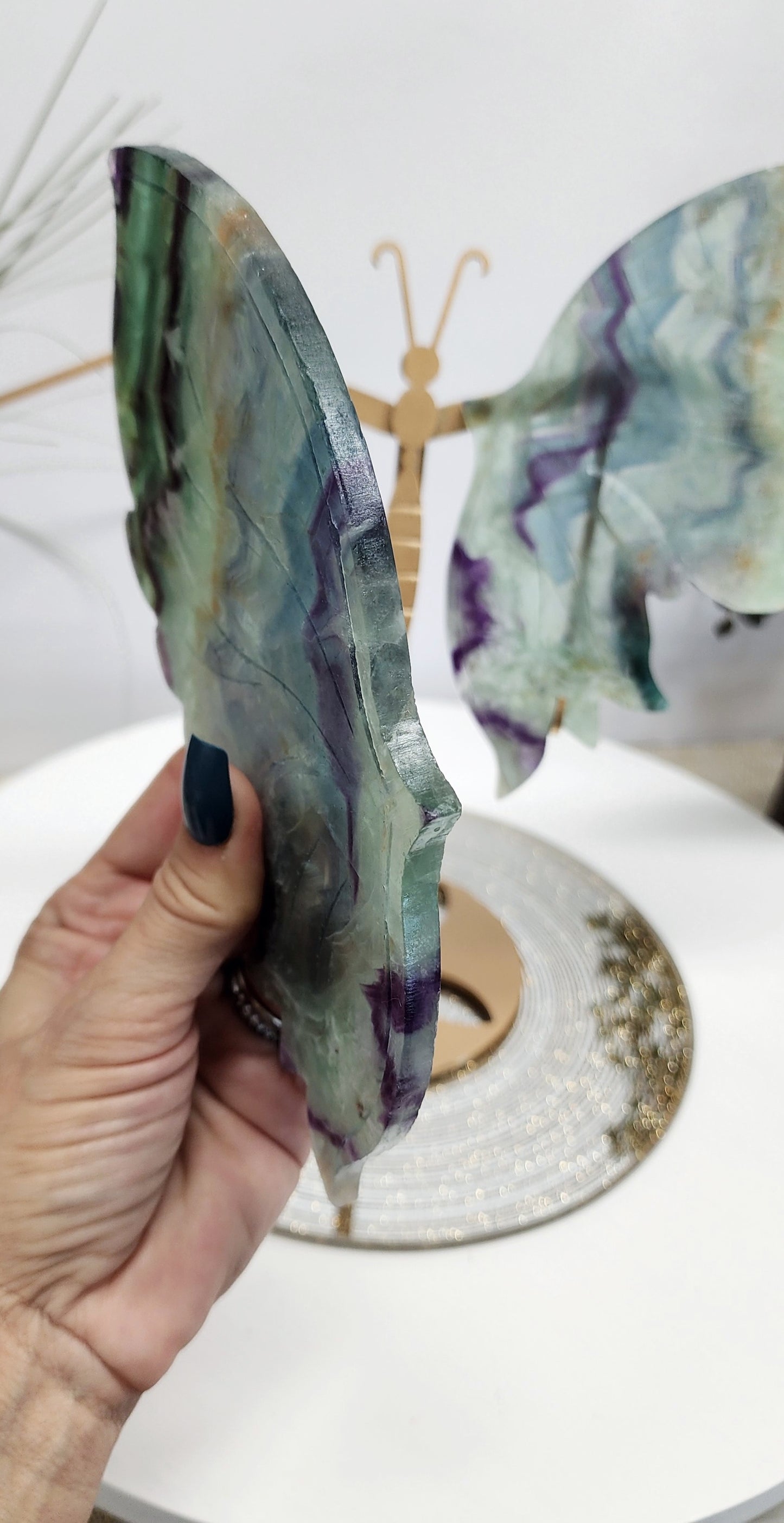 Large Feather Fluorite Butterfly Wings