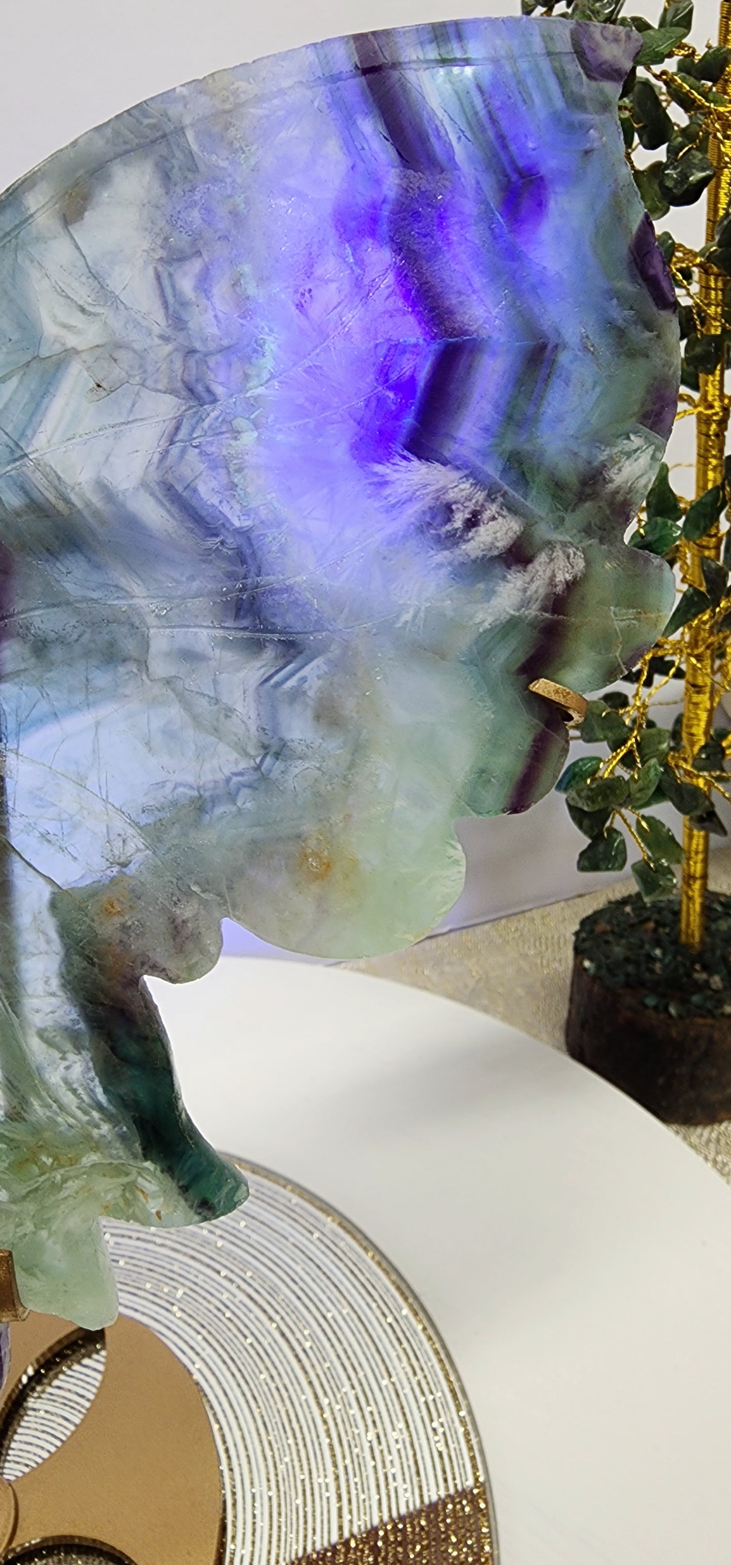 Large Feather Fluorite Butterfly Wings