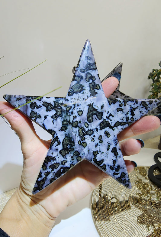 Large Indigo Gabro Star on Stand