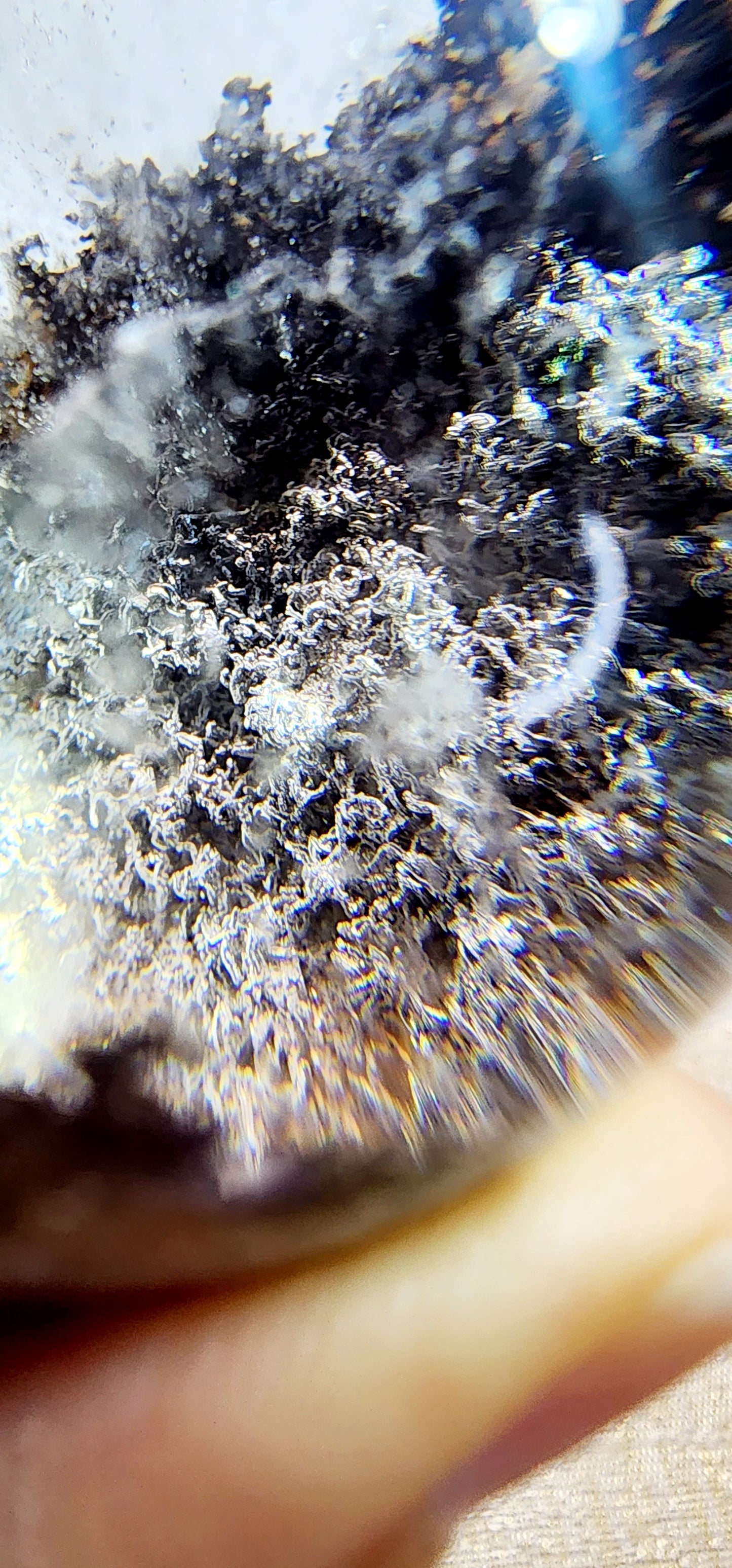 1 Basket Reserved for Amy