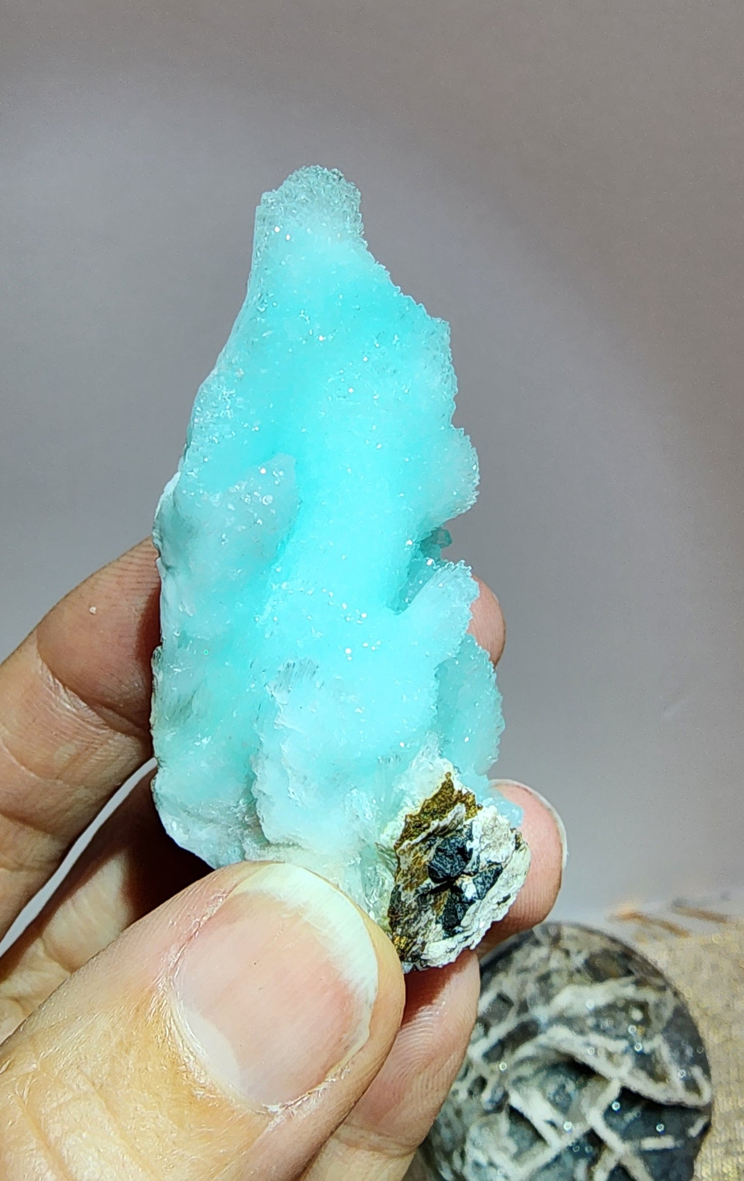 1 Basket Reserved for Mary