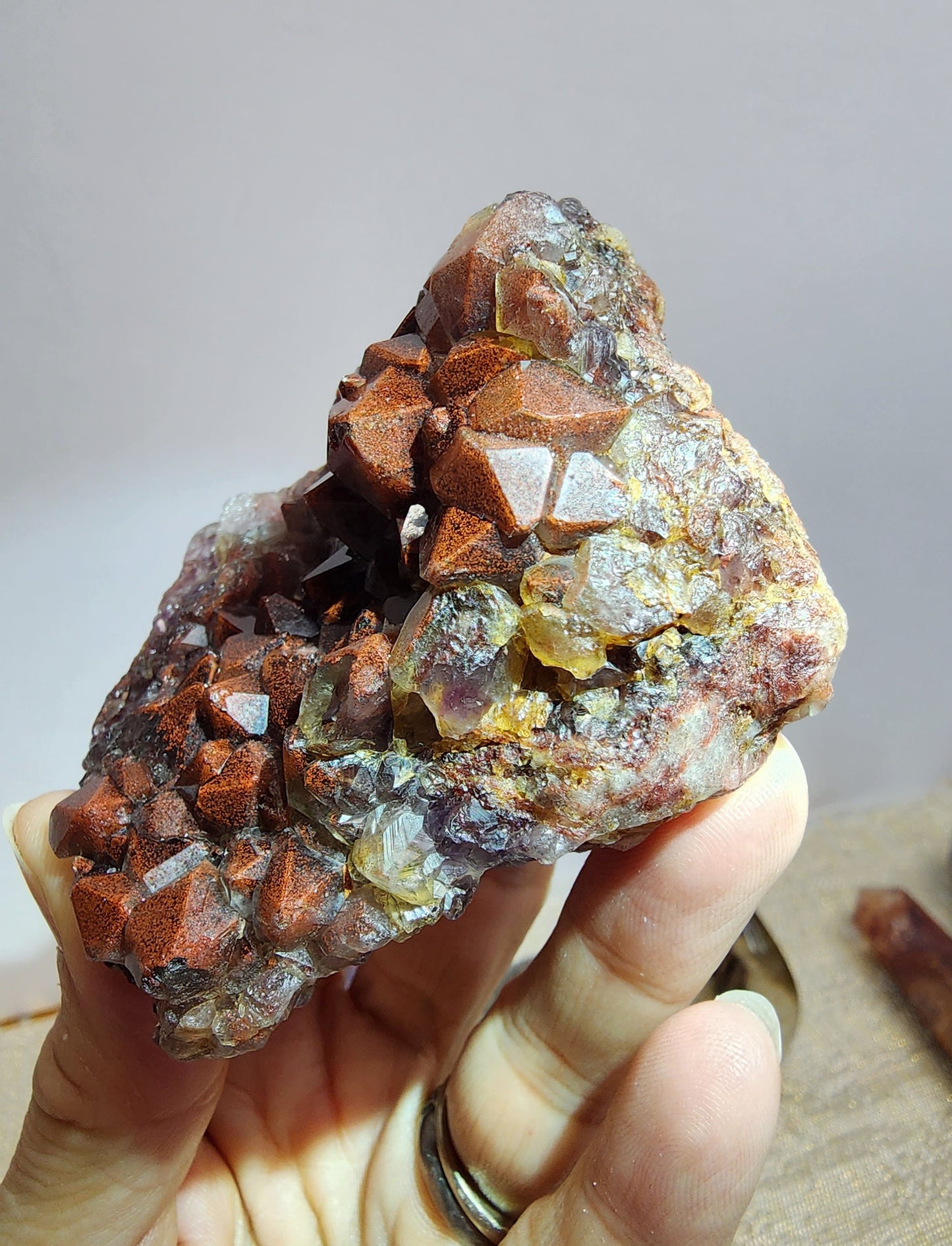 1 Basket Reserved for Kelly