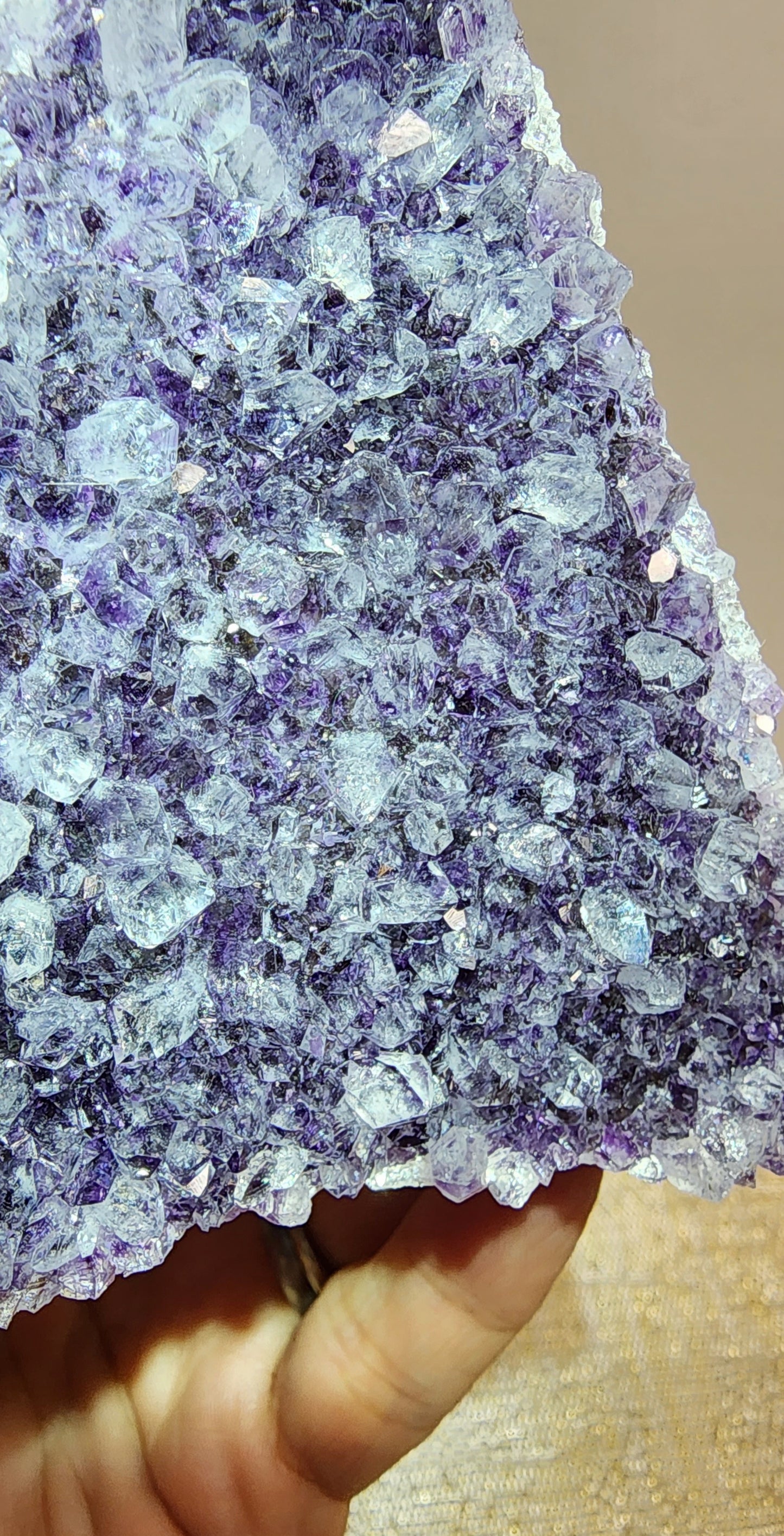 1 Basket Reserved for Montana