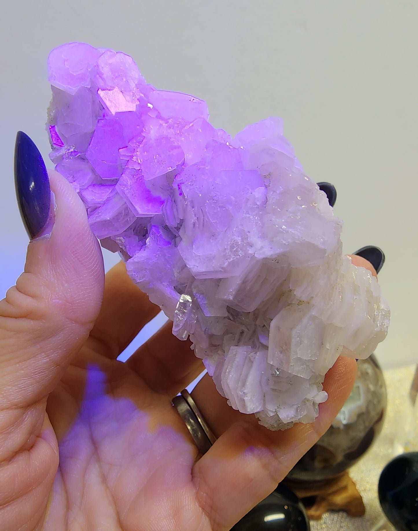 1 Basket Reserved for Mary