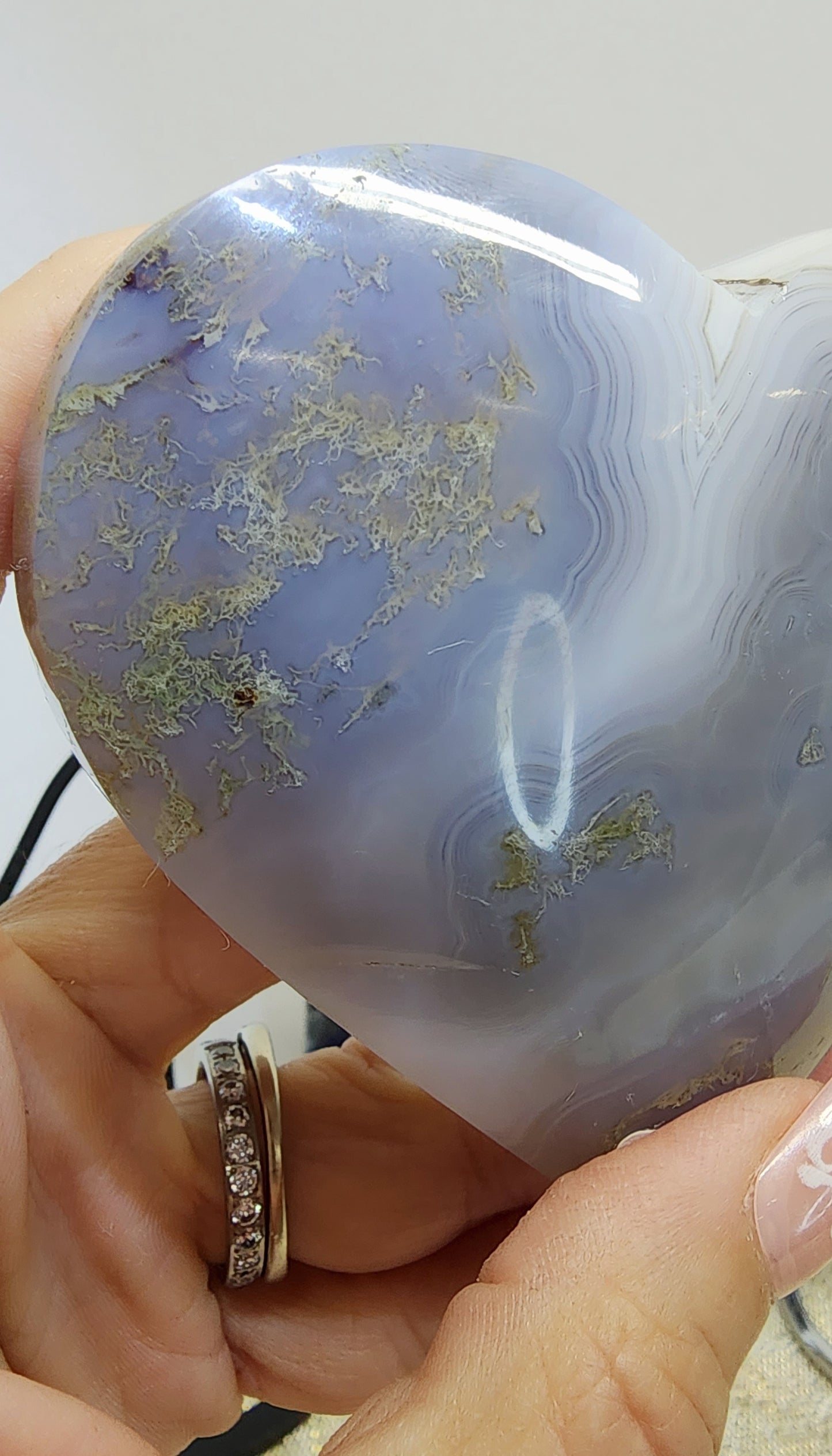 1 Basket Reserved for Lisa