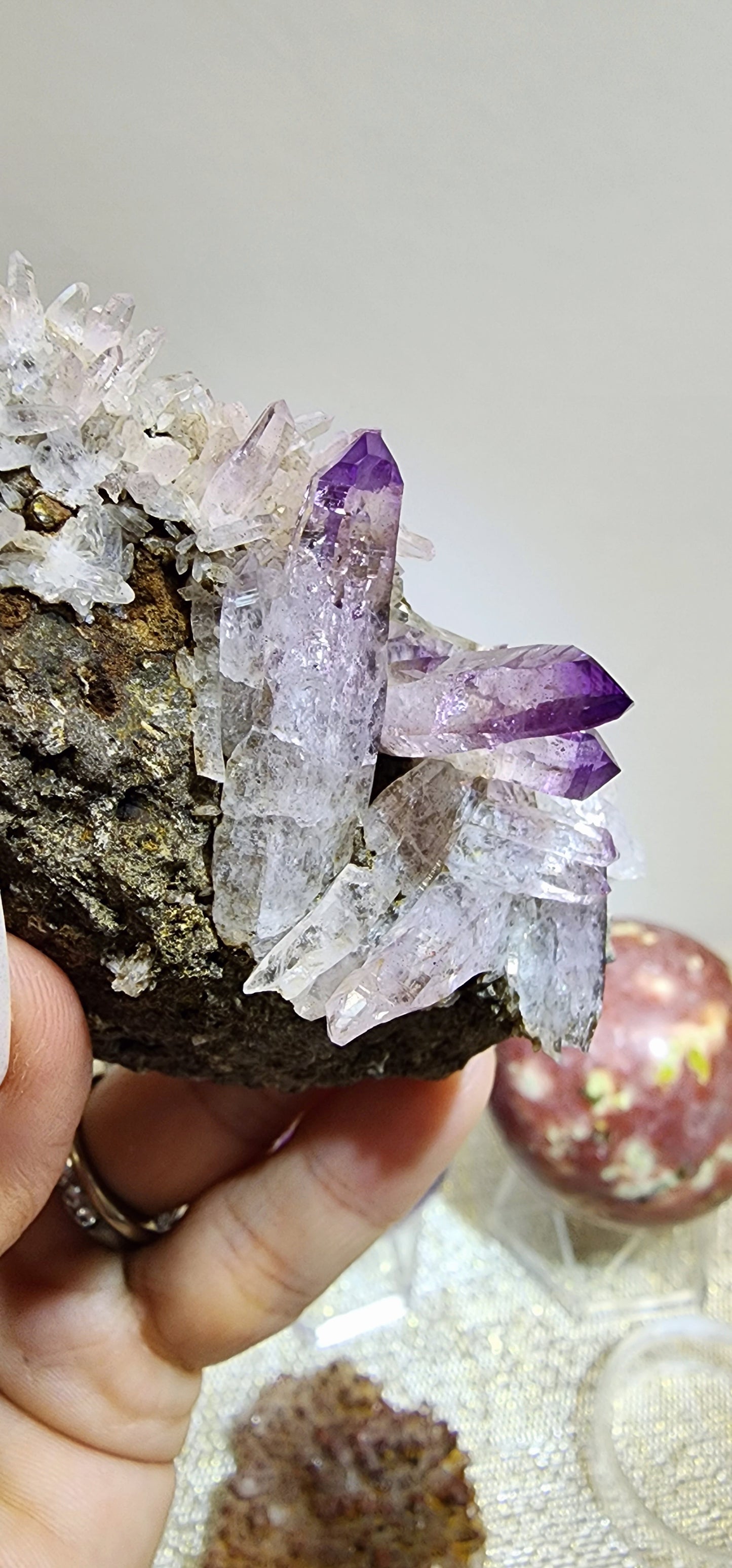 1 Basket Reserved for Kelly