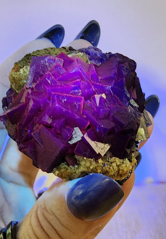 1 Basket Reserved for NP