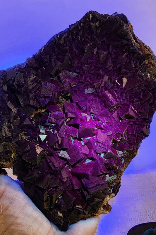 1 Basket Reserved for Kelly