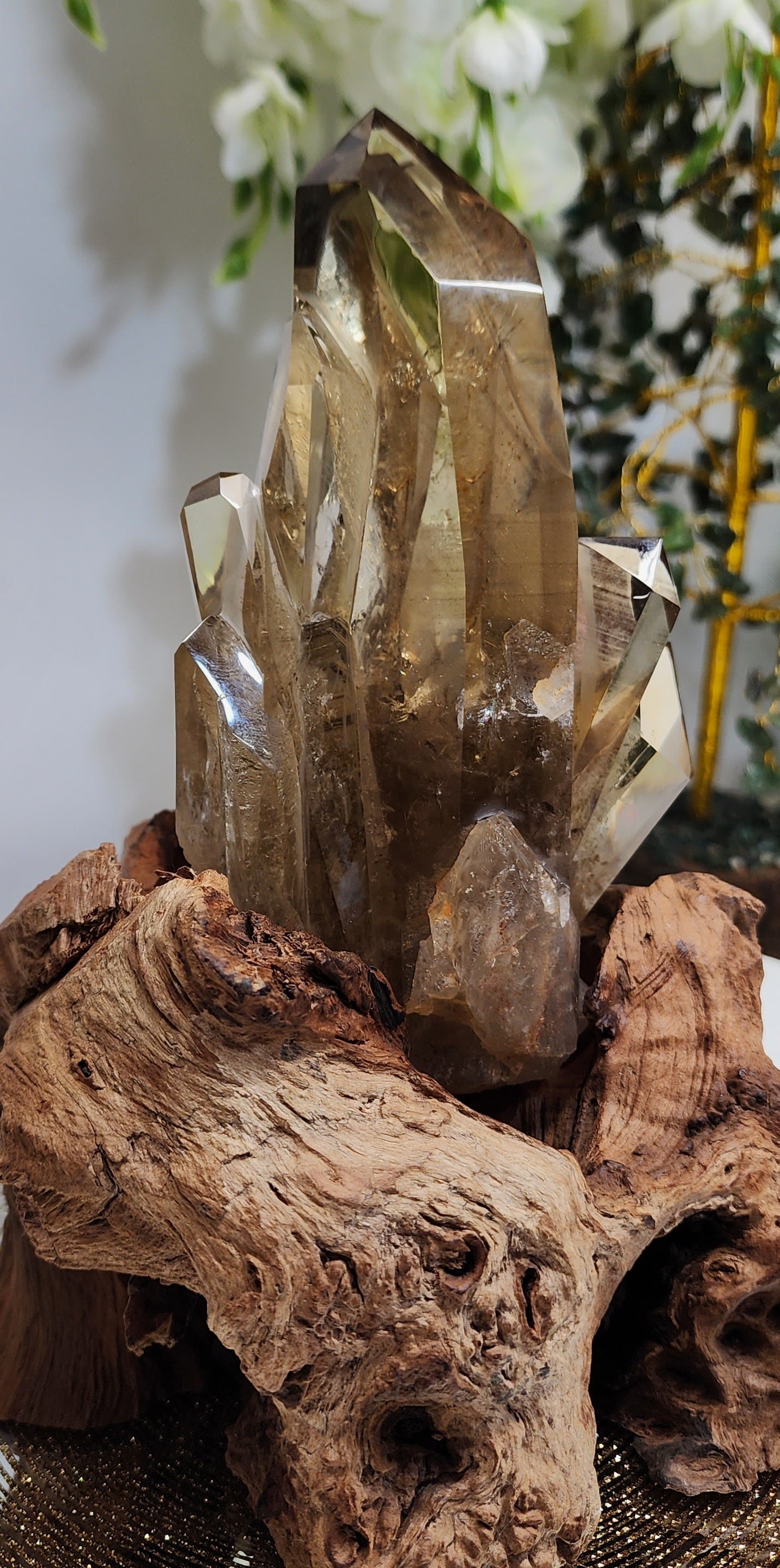 Large Natural Citrine Cluster from Brazil