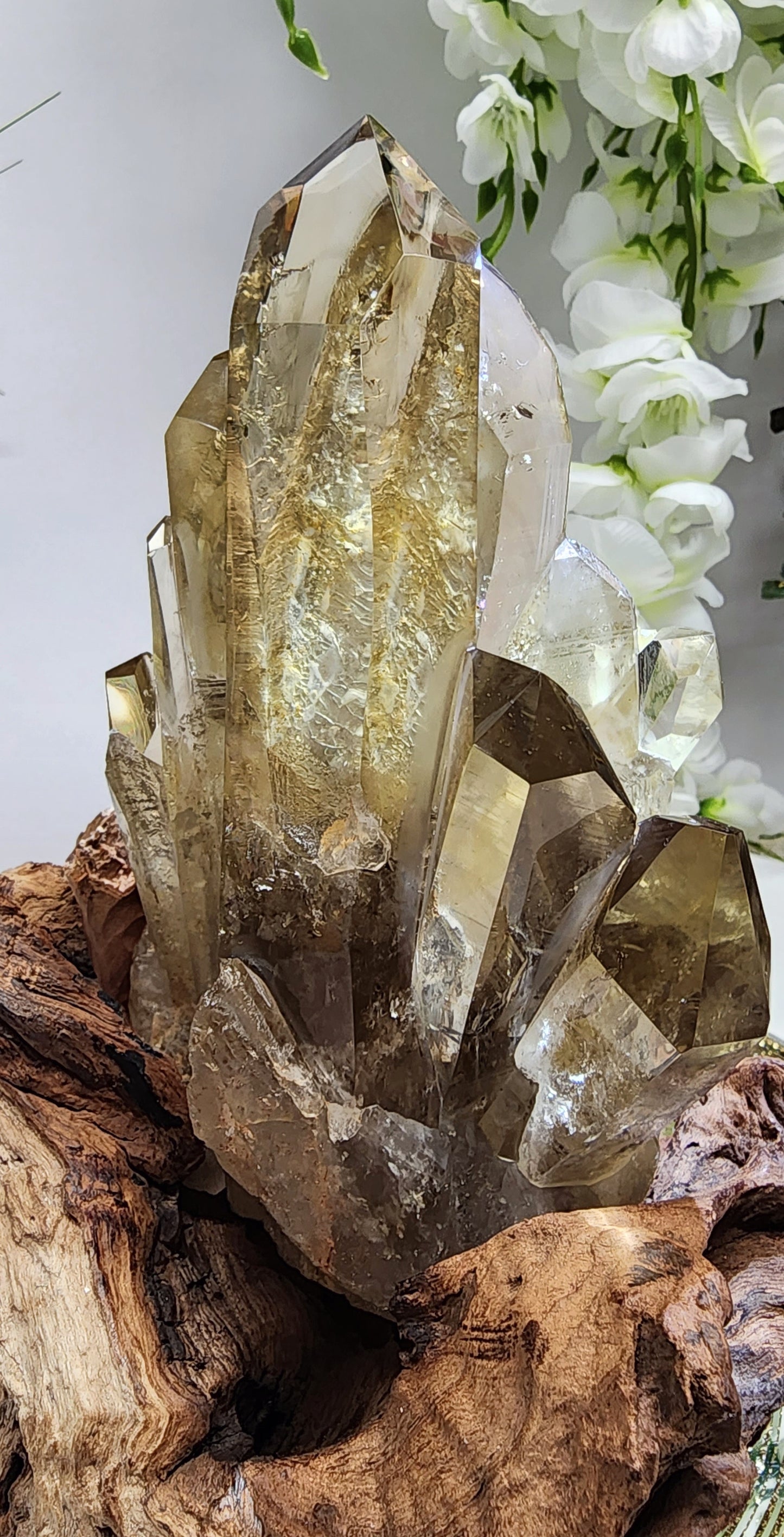Large Natural Citrine Cluster from Brazil