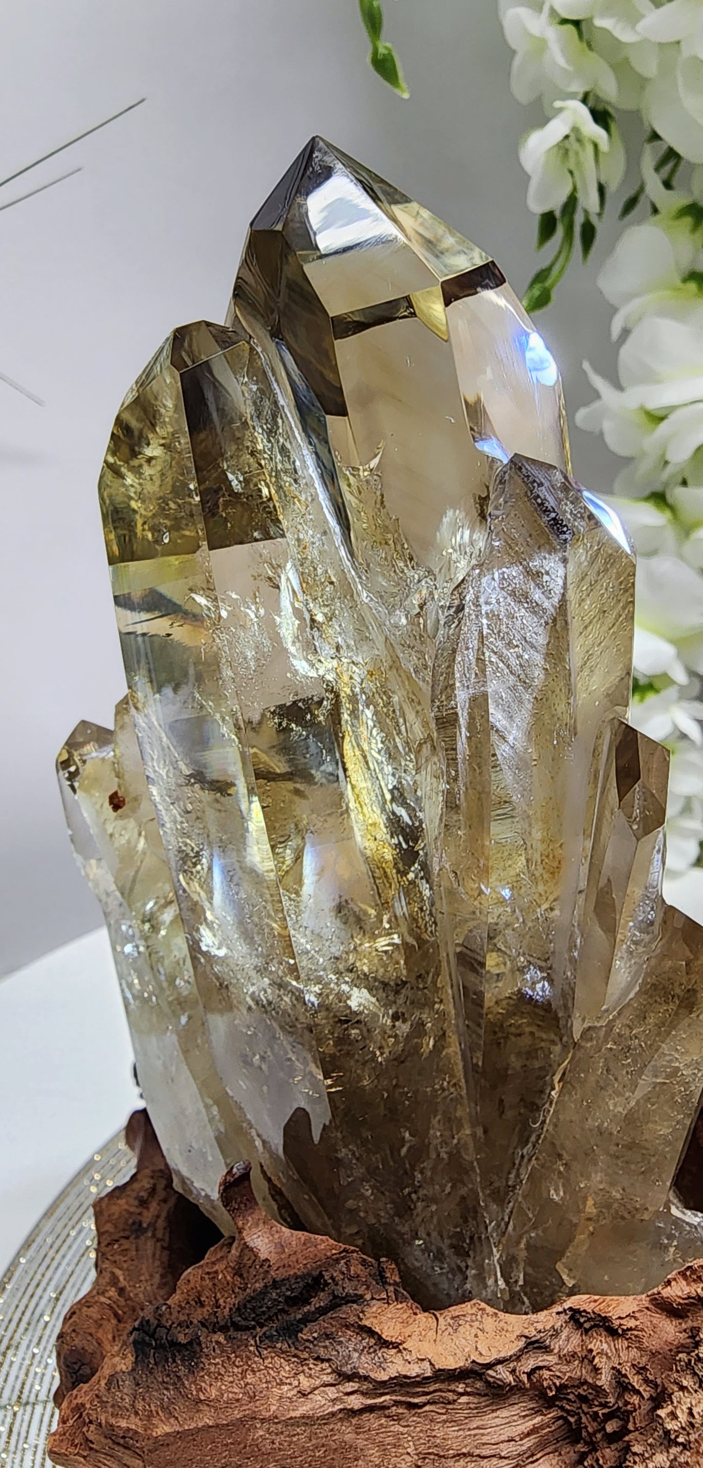 Large Natural Citrine Cluster from Brazil