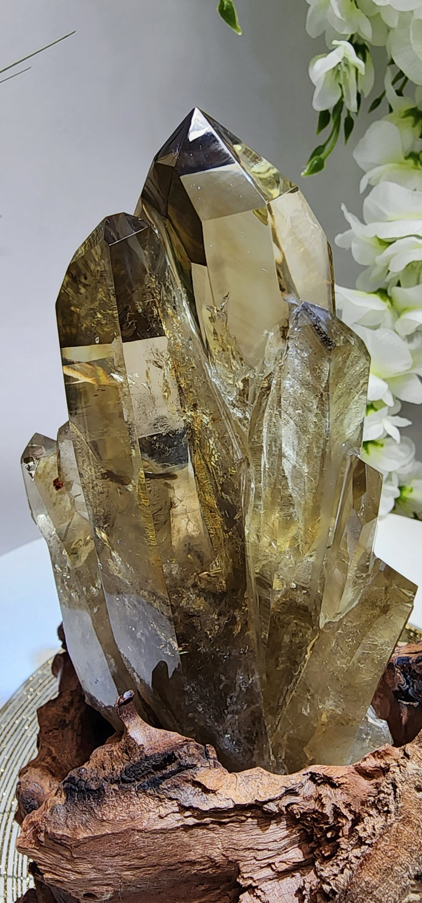 Large Natural Citrine Cluster from Brazil