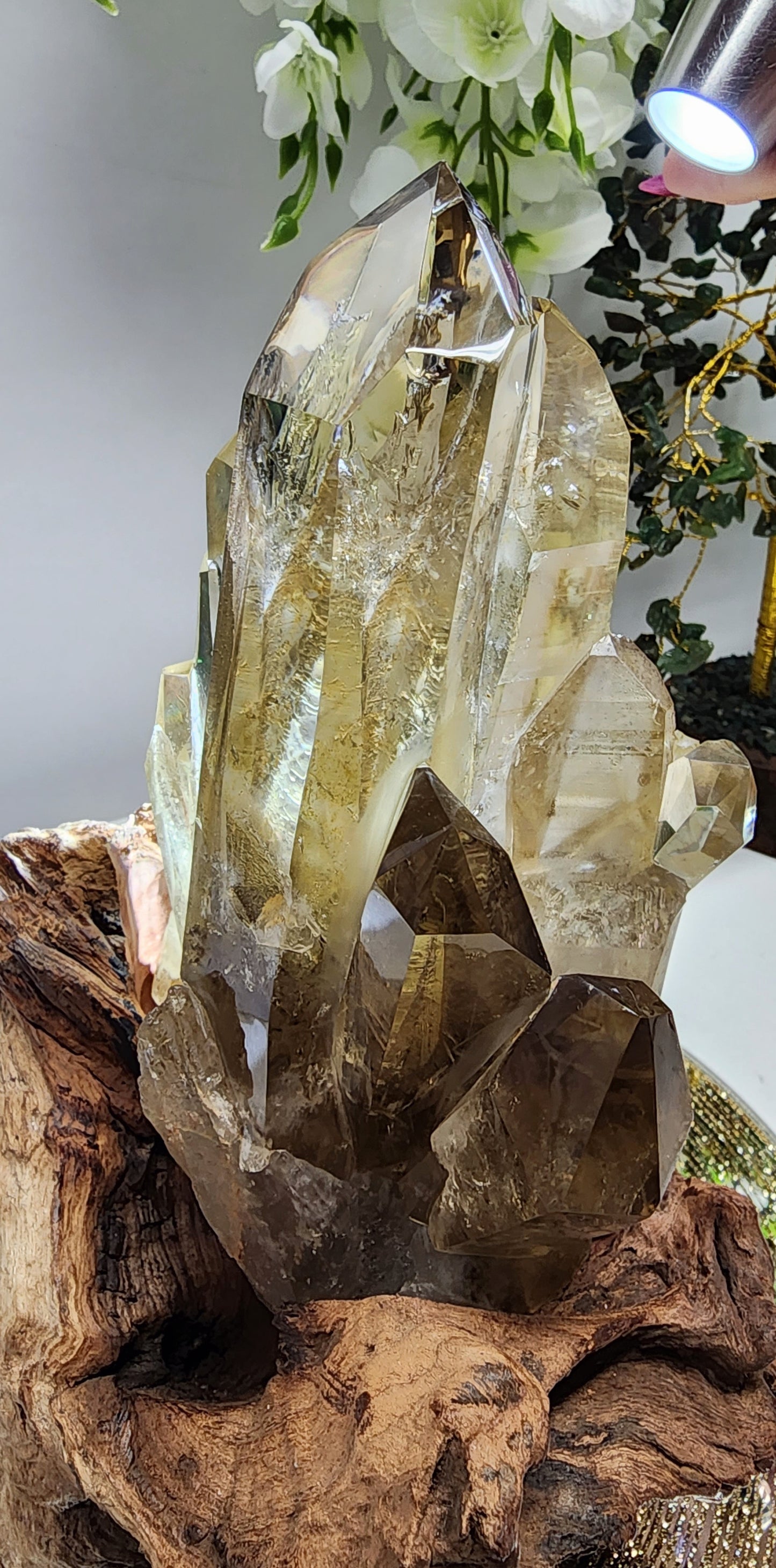 Large Natural Citrine Cluster from Brazil