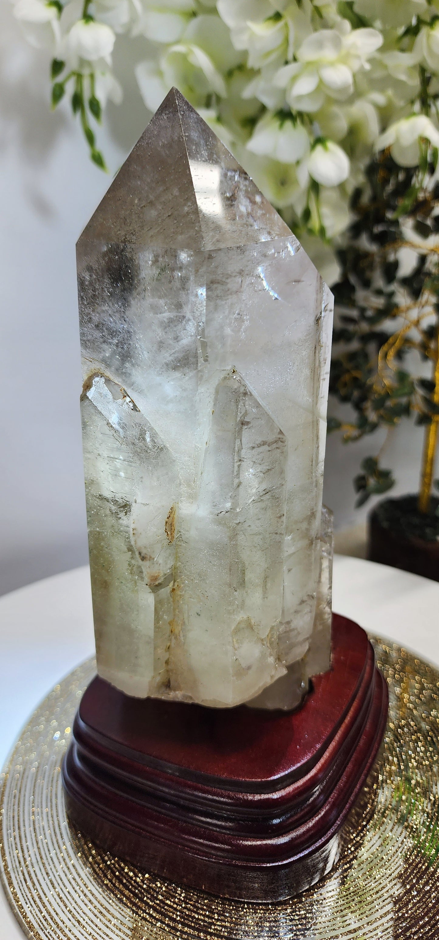 Large Smoky Citrine w/Garden, white phantom