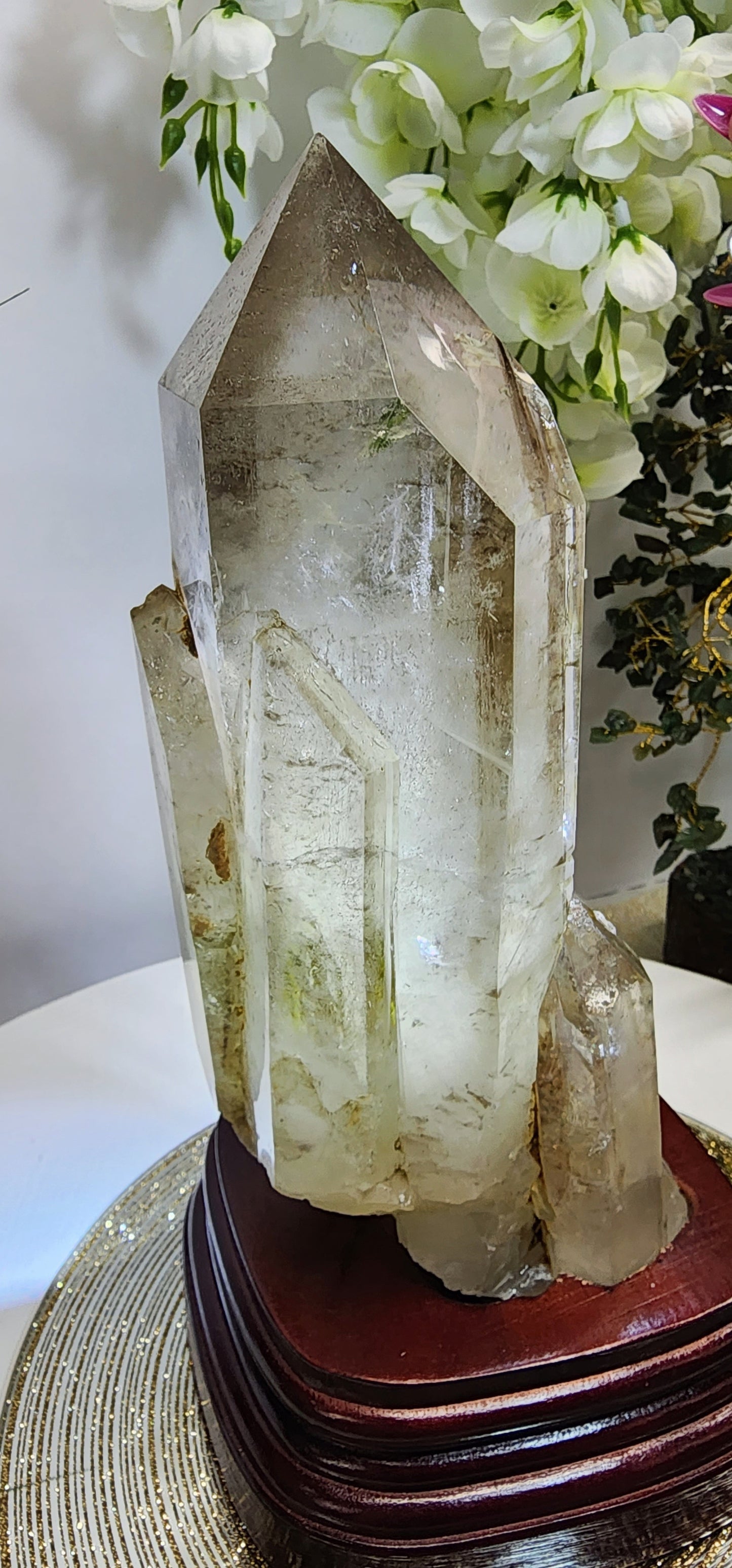 Large Smoky Citrine w/Garden, white phantom
