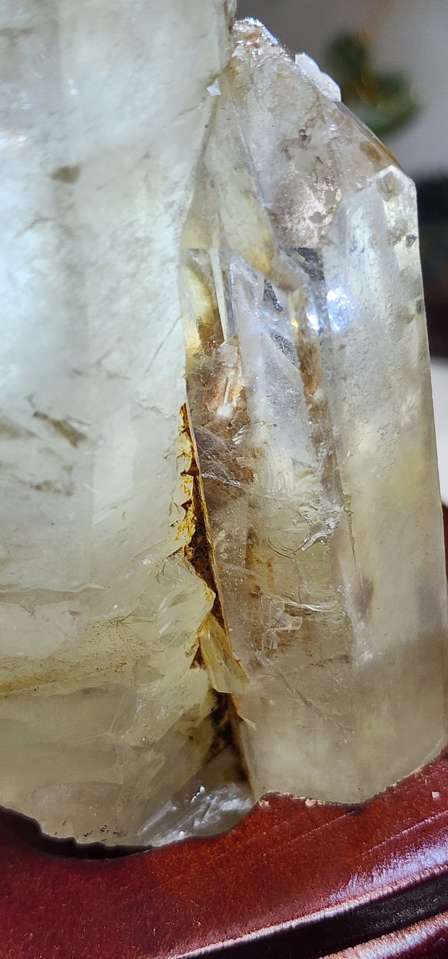 Large Smoky Citrine w/Garden, white phantom