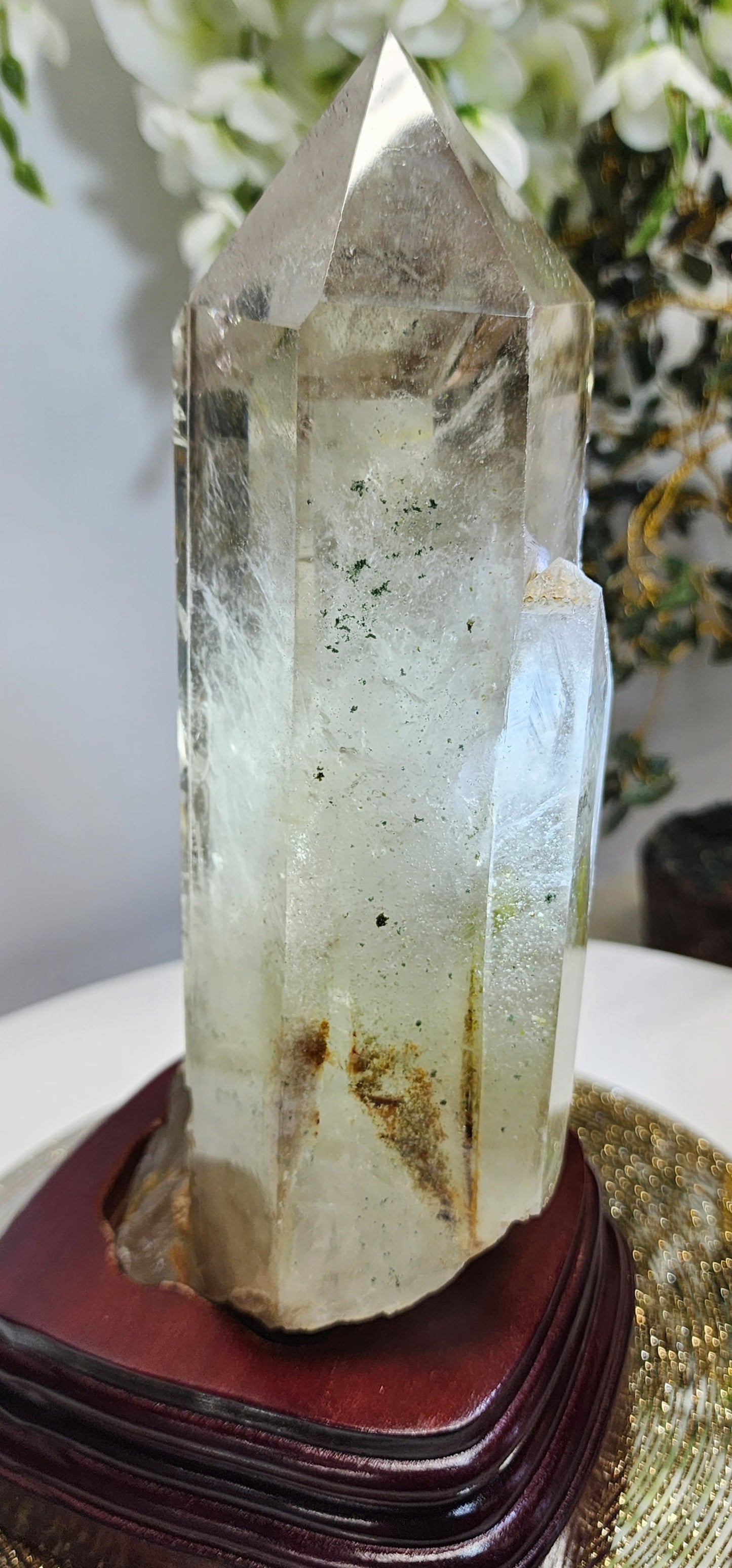 Large Smoky Citrine w/Garden, white phantom