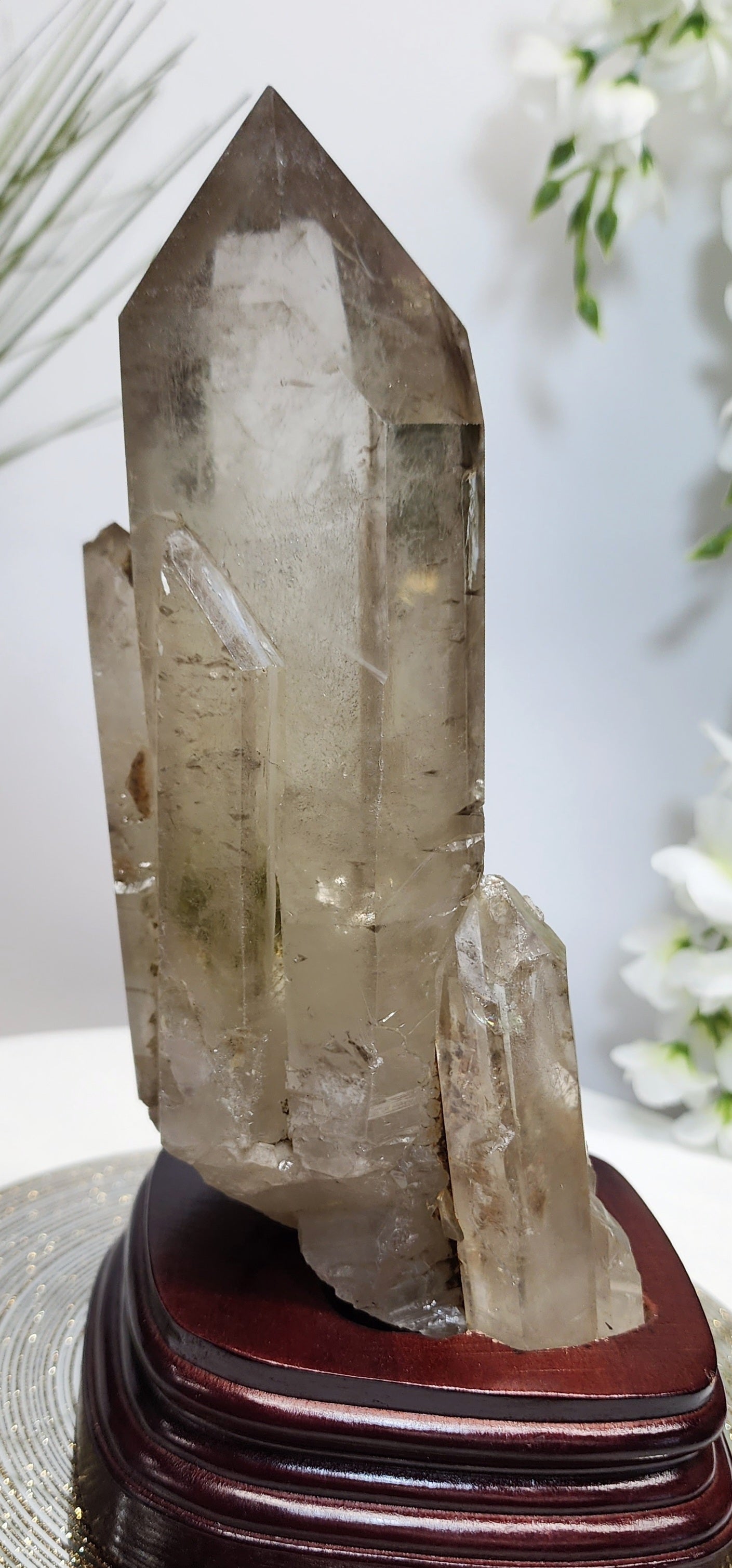 Large Smoky Citrine w/Garden, white phantom