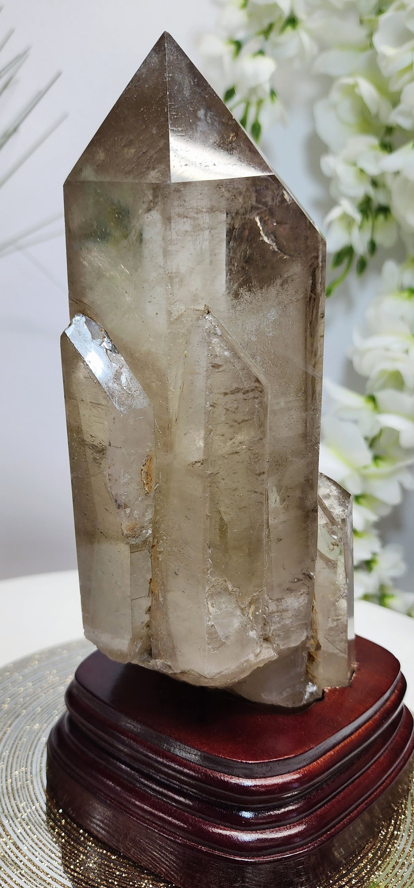 Large Smoky Citrine w/Garden, white phantom