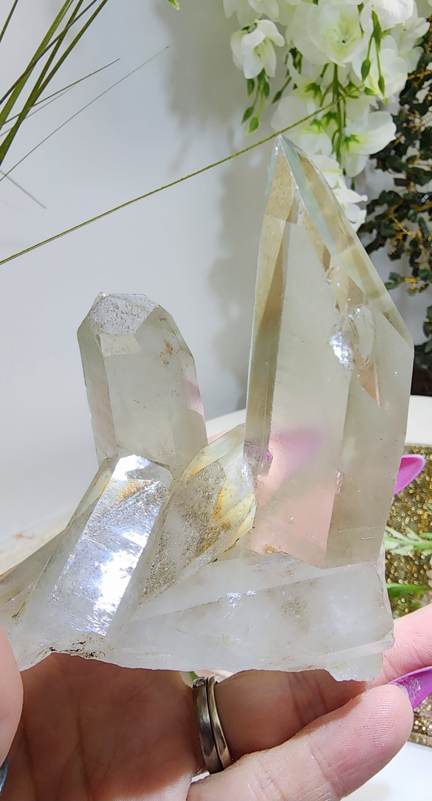 Green Phantom Cluster from Madagascar