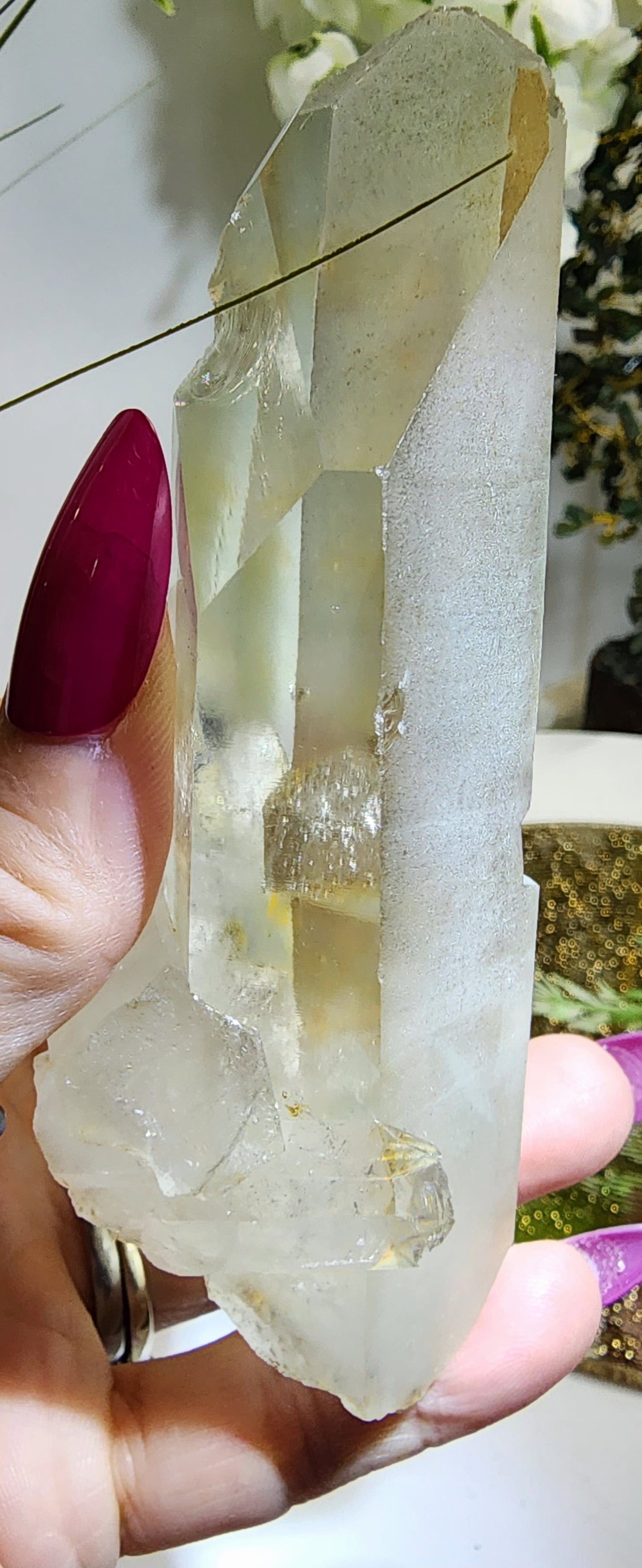 Green Phantom Cluster from Madagascar