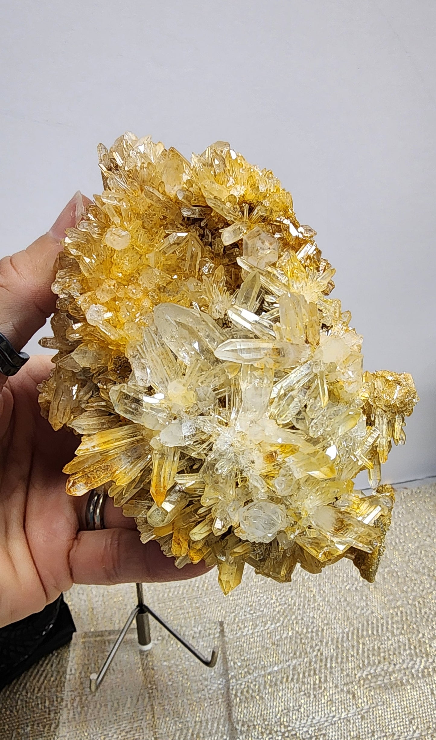 1 Basket Reserved for Kelly