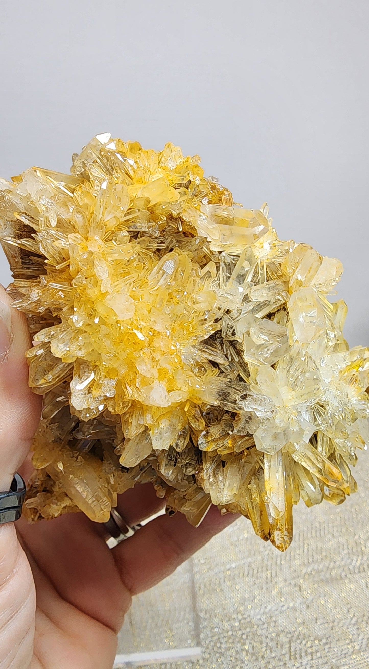 1 Basket Reserved for Kelly