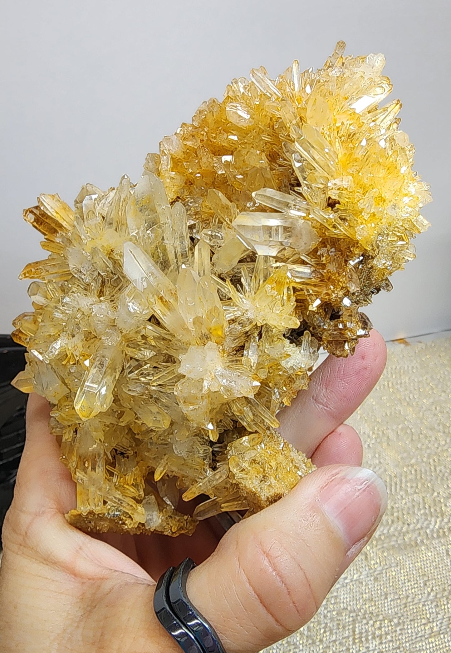 1 Basket Reserved for Kelly