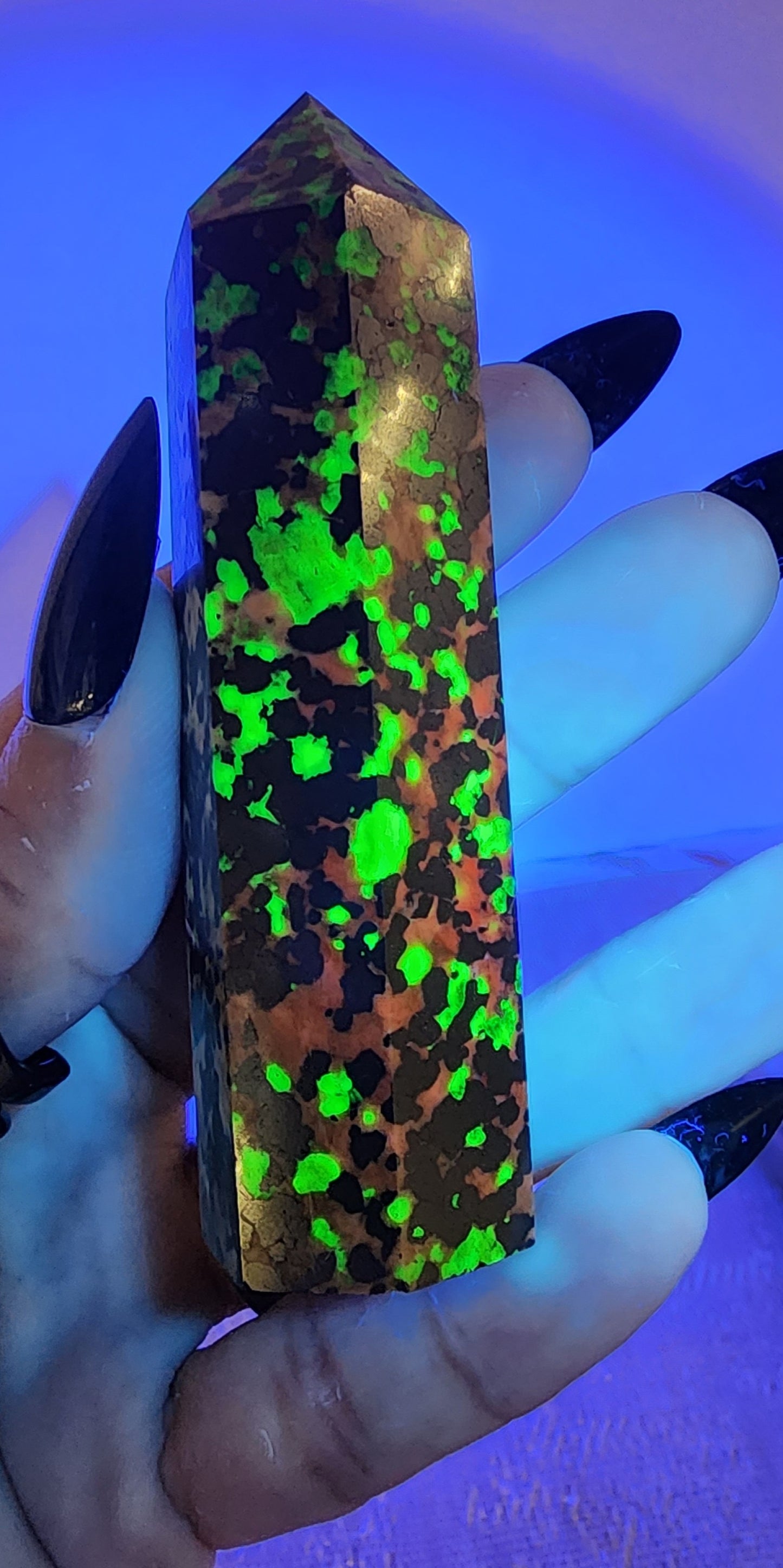 1 Basket Reserved for Kelly