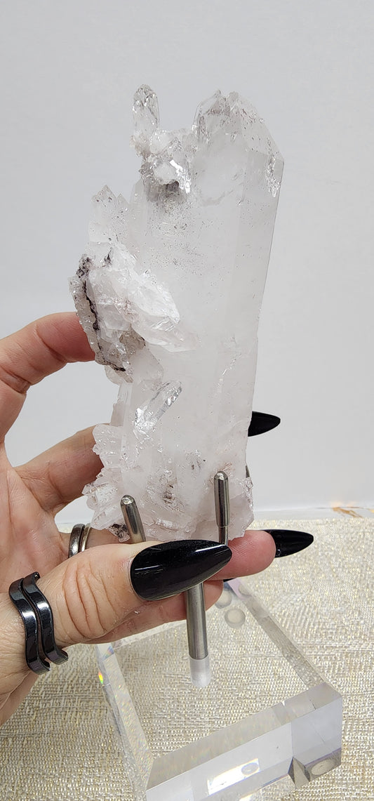 1 Basket Reserved for Erin