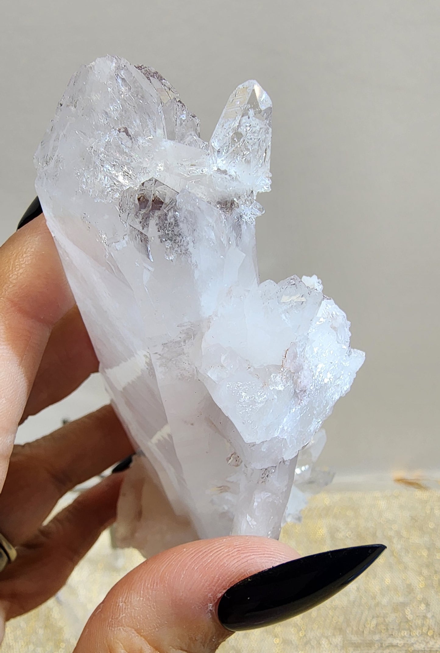 1 Basket Reserved for Erin