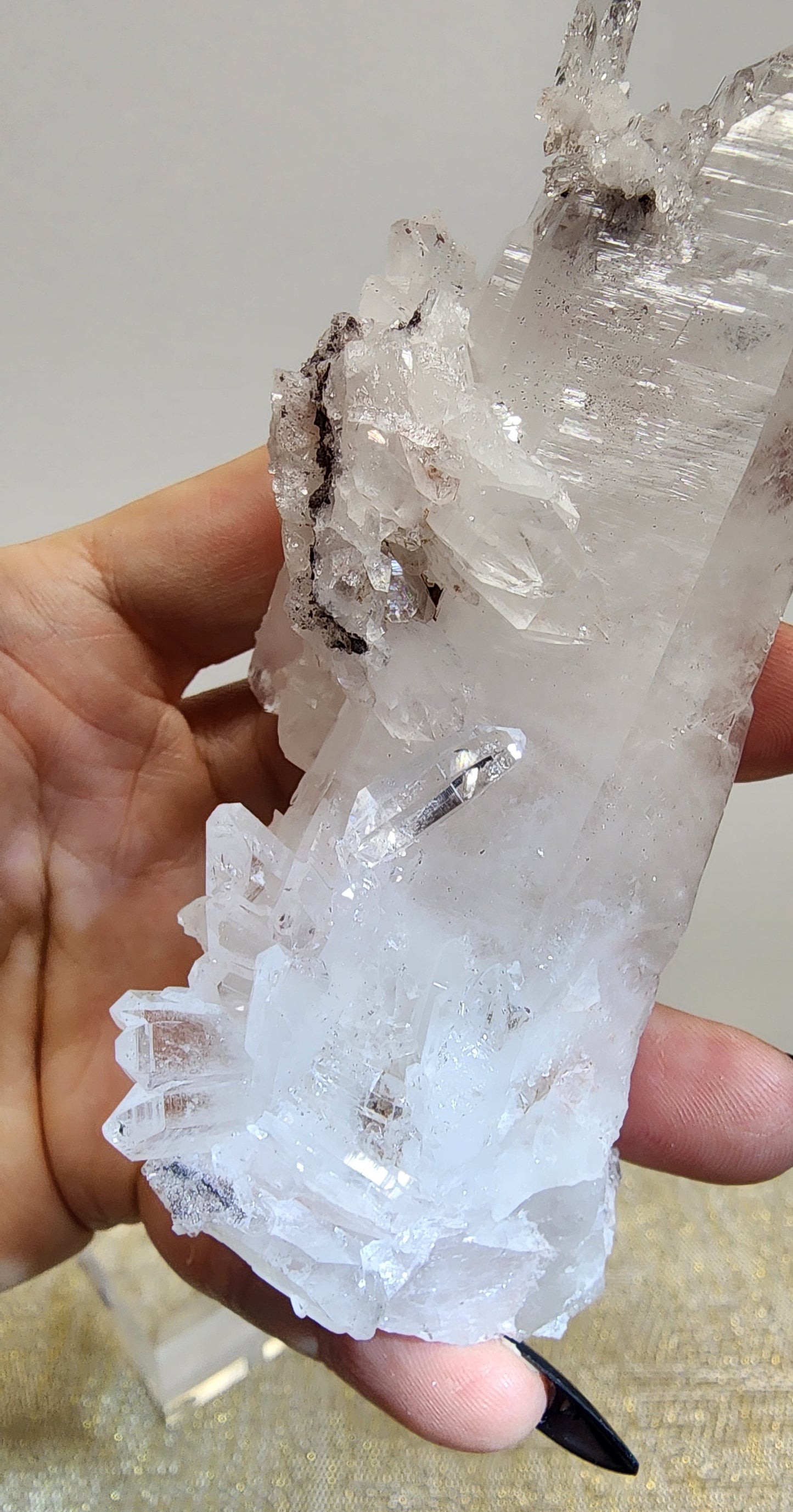 1 Basket Reserved for Erin