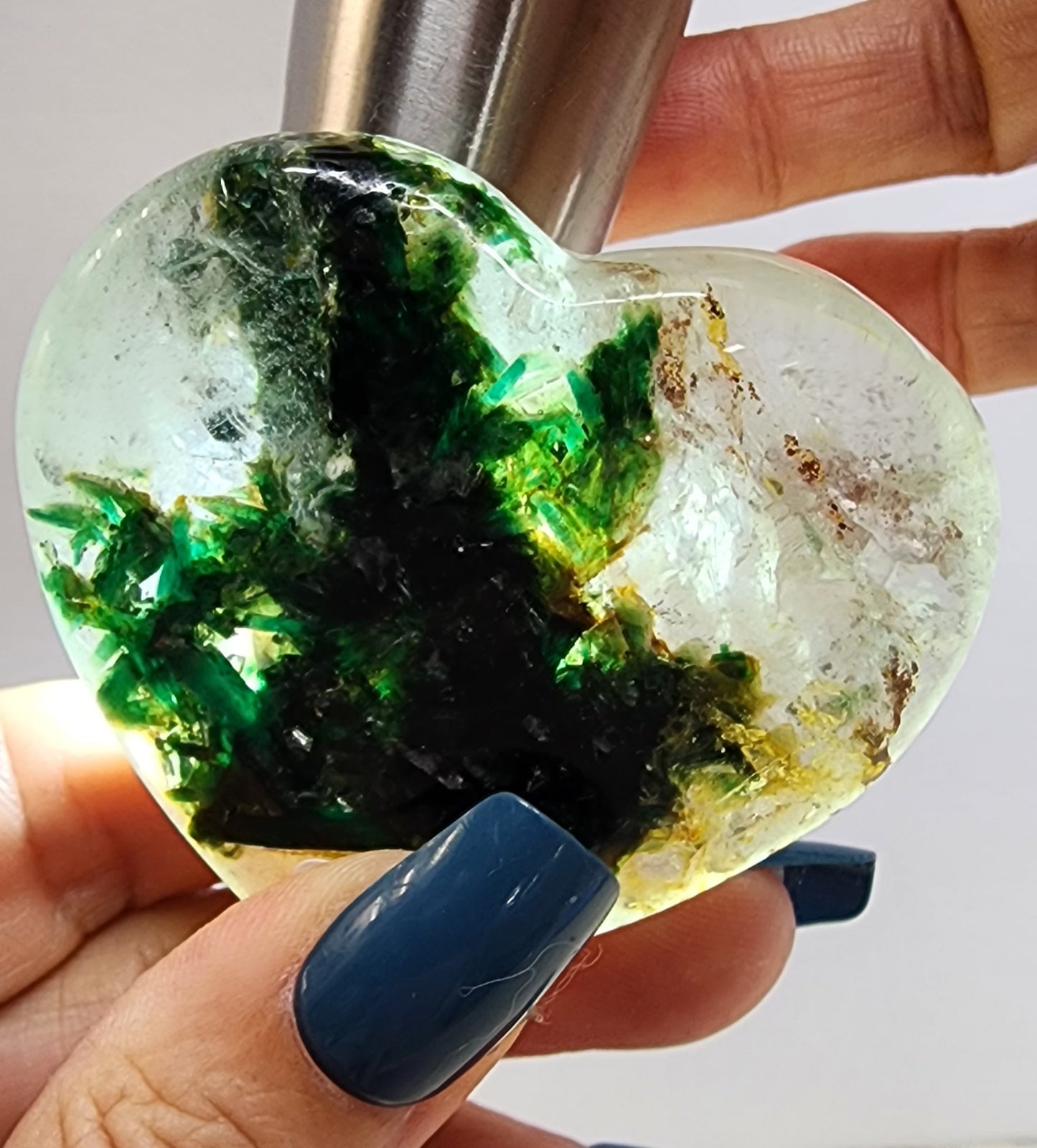 1 Basket Reserved for NP