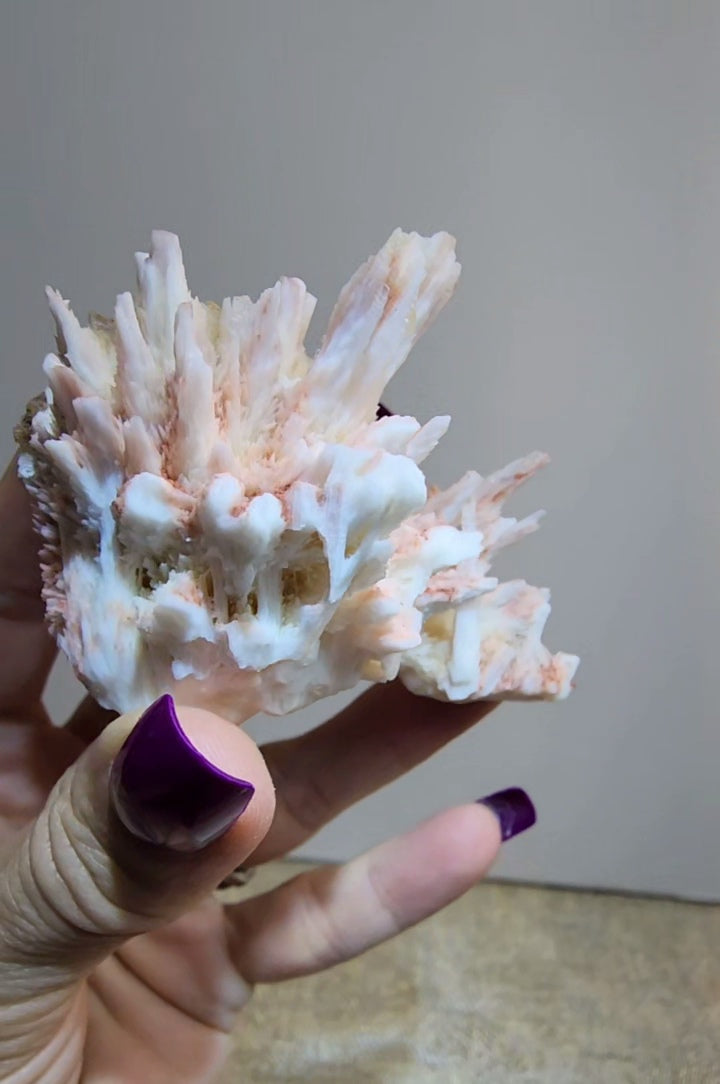 Mordenite and Scolecite with Stilbite Specimen from India
