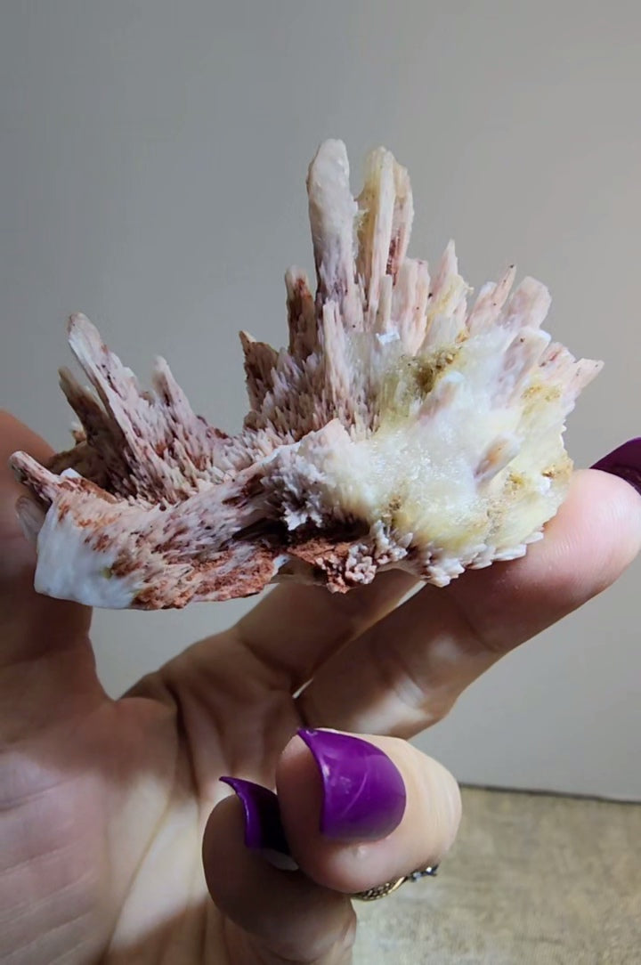 Mordenite and Scolecite with Stilbite Specimen from India