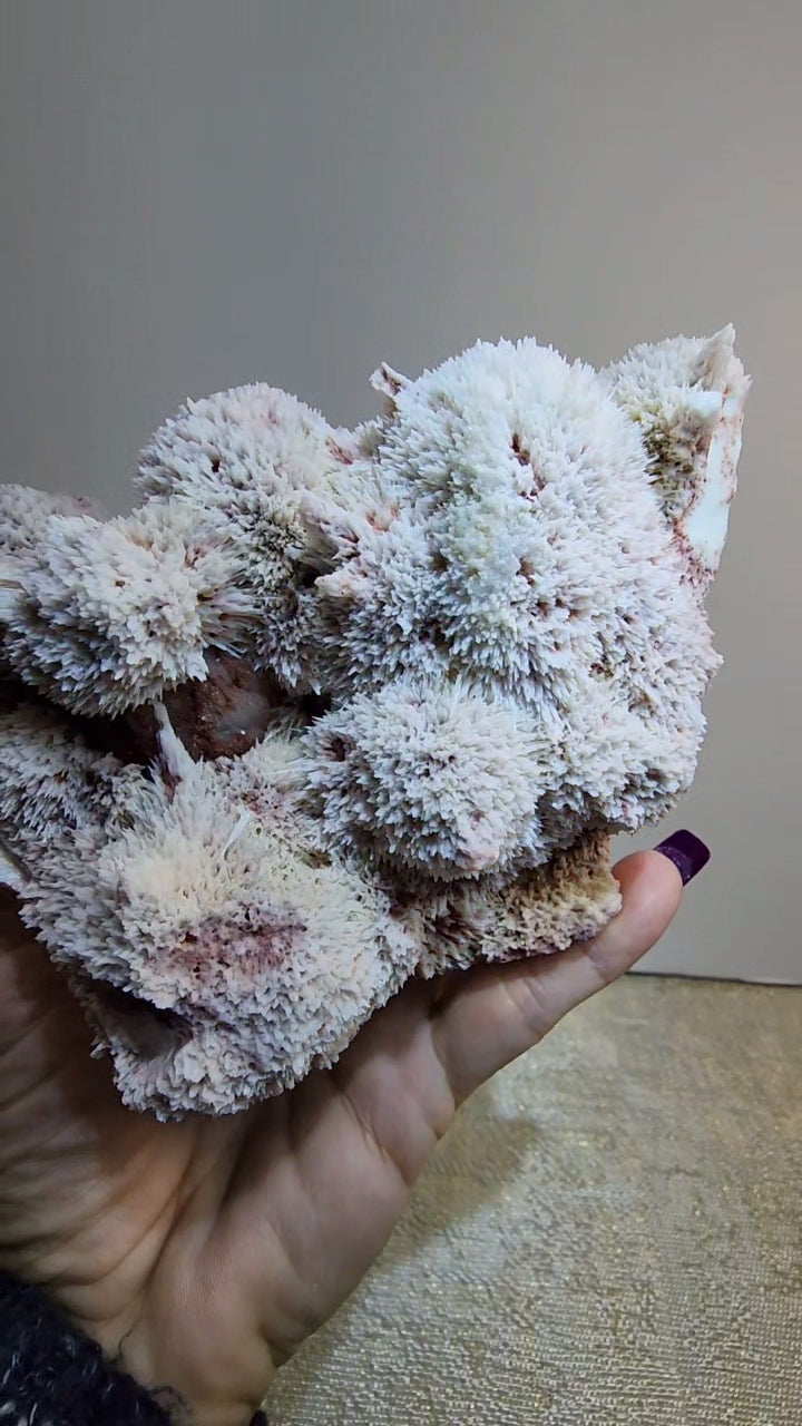 Mordenite and Scolecite with Stilbite Specimen from India